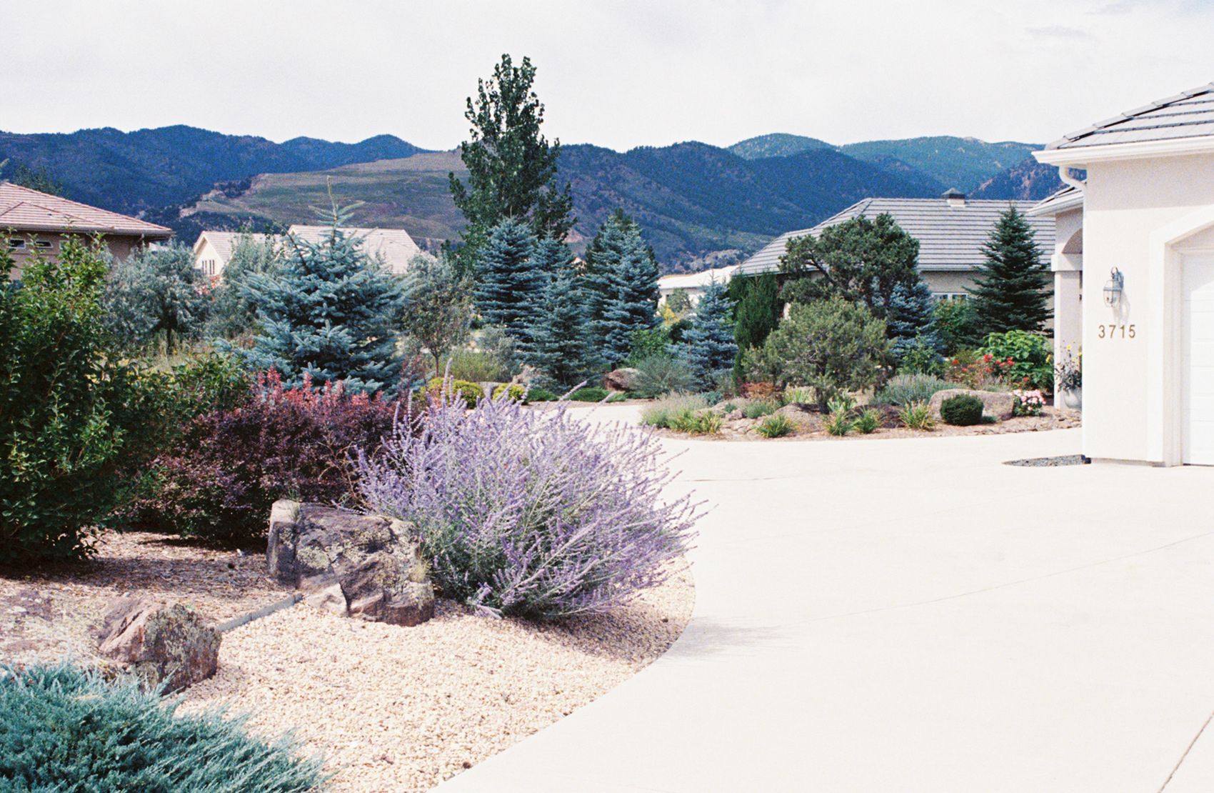 Themed Horticultural Designs for Martin Stanko Landscape Construction in Livermore, CA