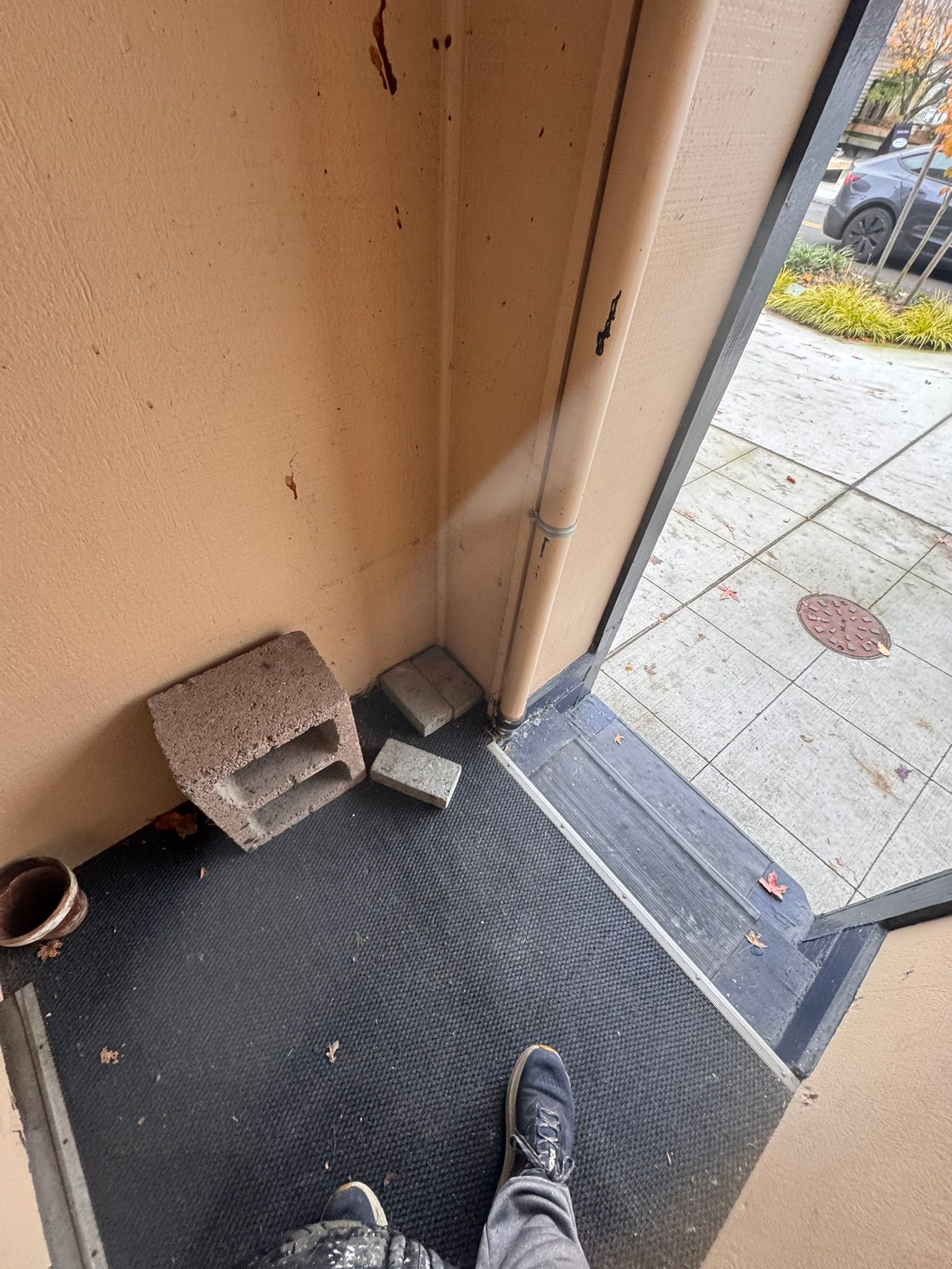  for Tony's Remodeling & Painting in Renton, WA