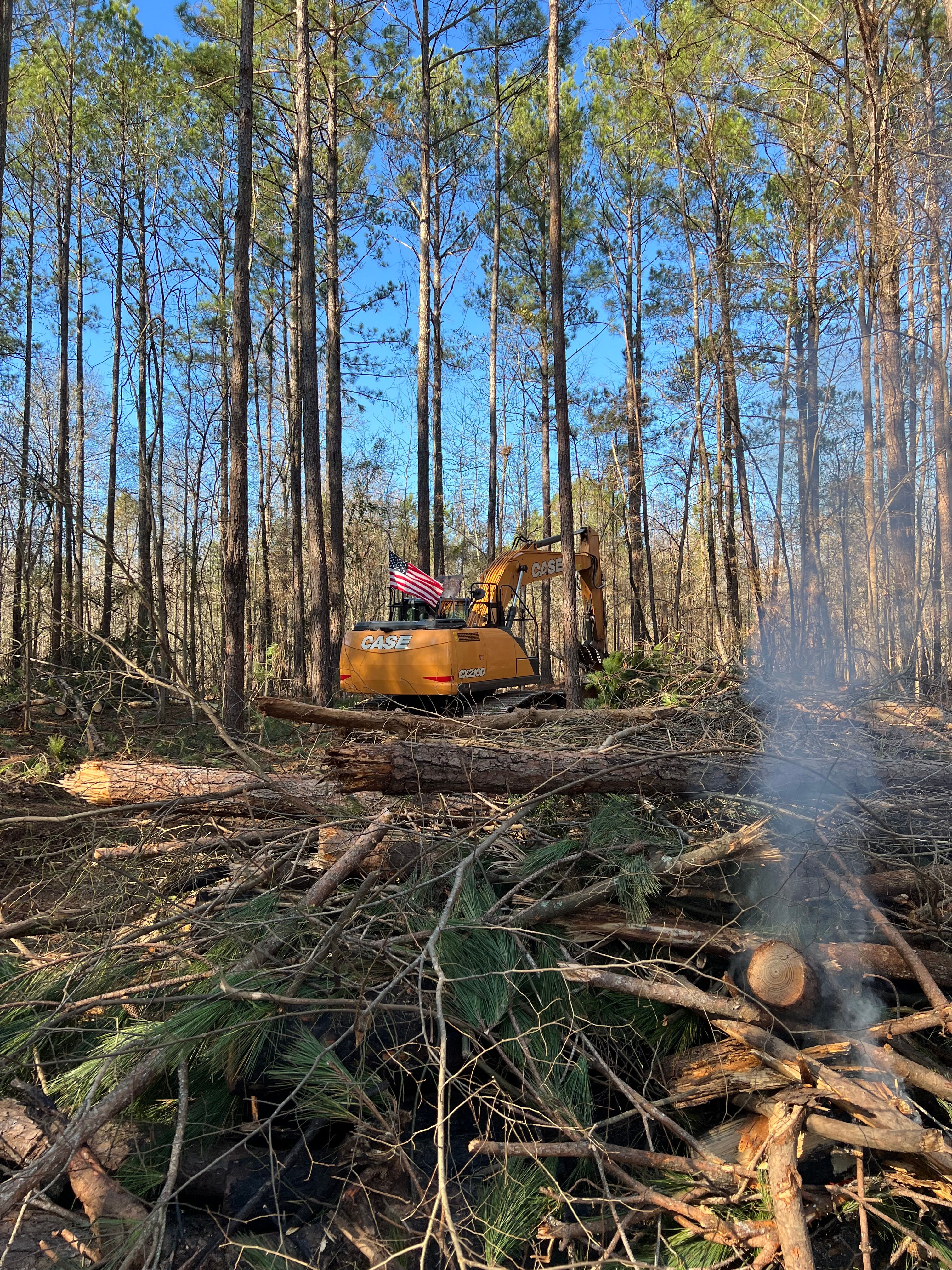 Clearing  for ADP Enterprises LLC in Griffin, GA