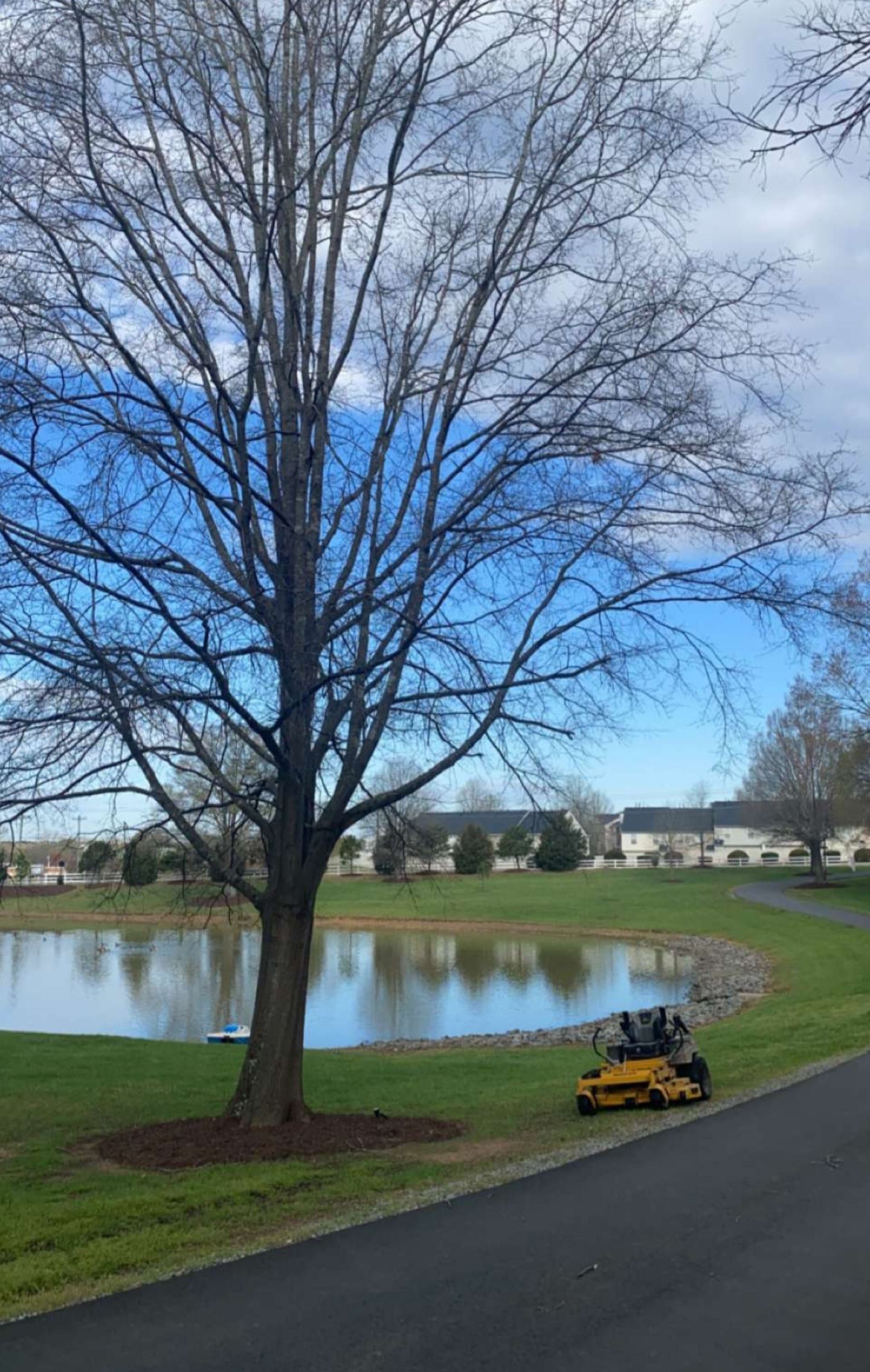All Photos for Southern Turf & Landscape in Concord, NC