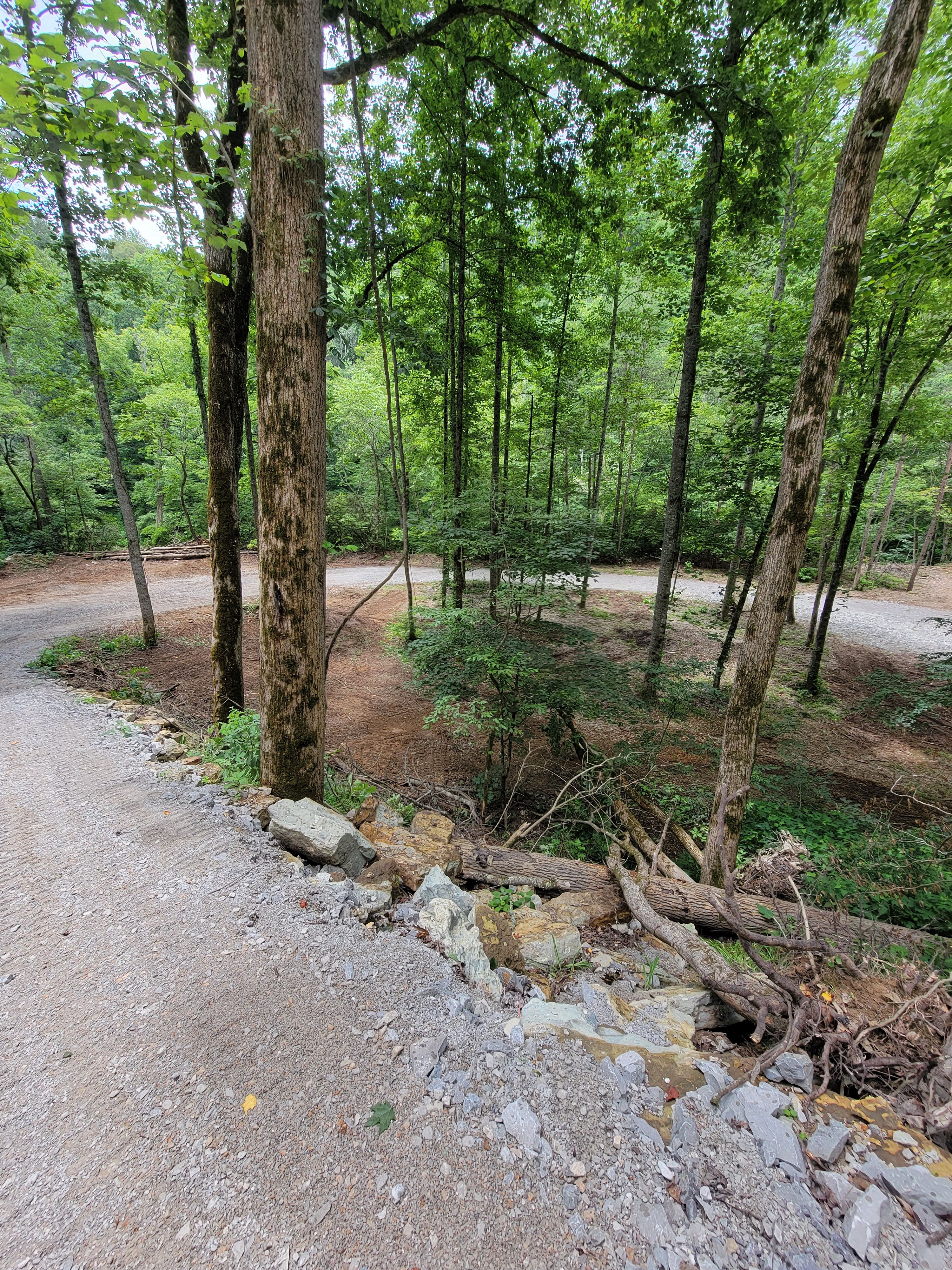  for Z's Land Management & Forestry Mulching in Smithville, TN