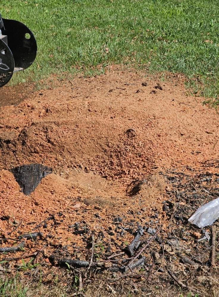  for I and R Stump Grinding in Thornville, OH