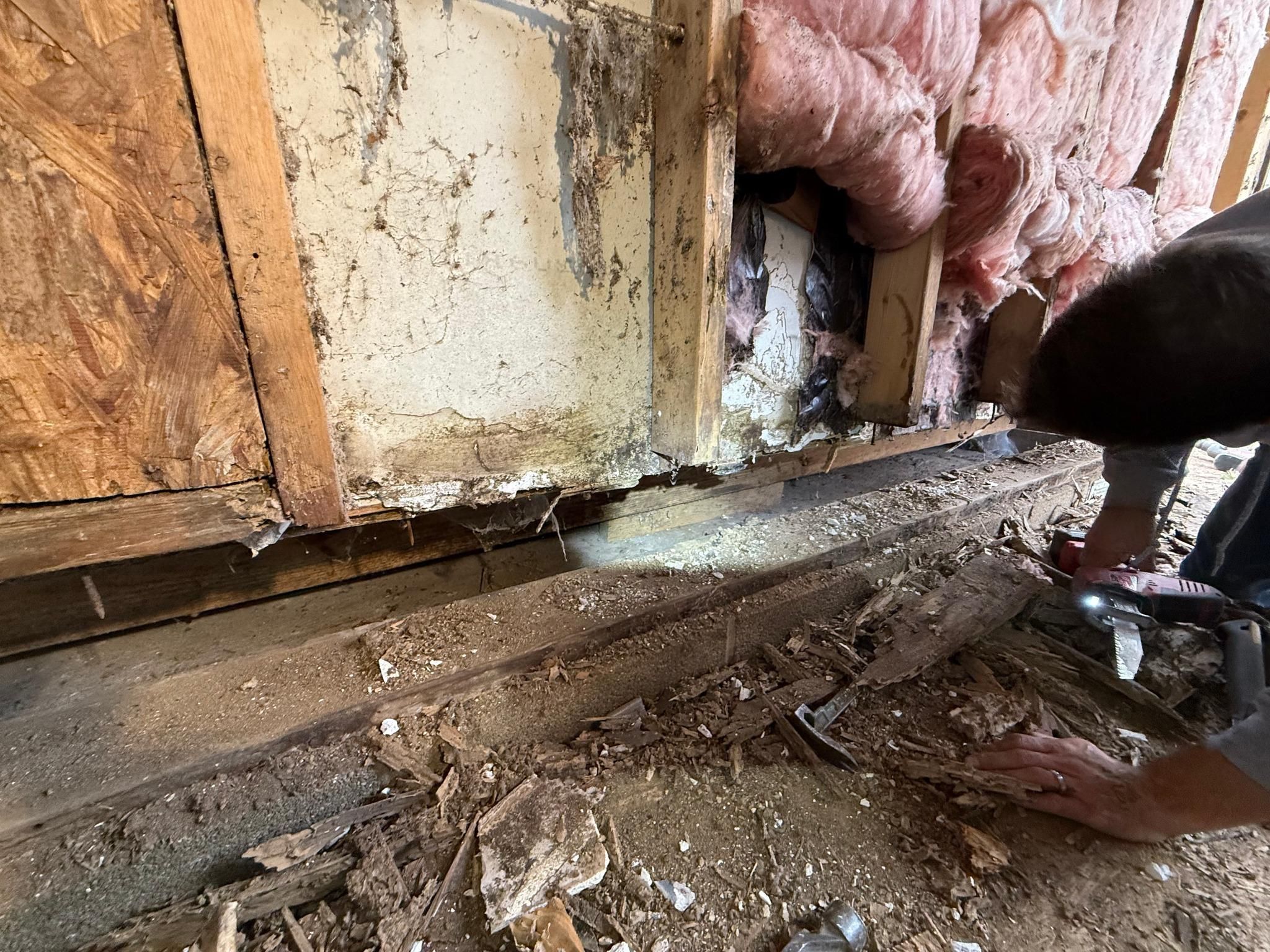  for E & C Handyman and Construction in Owensboro, KY