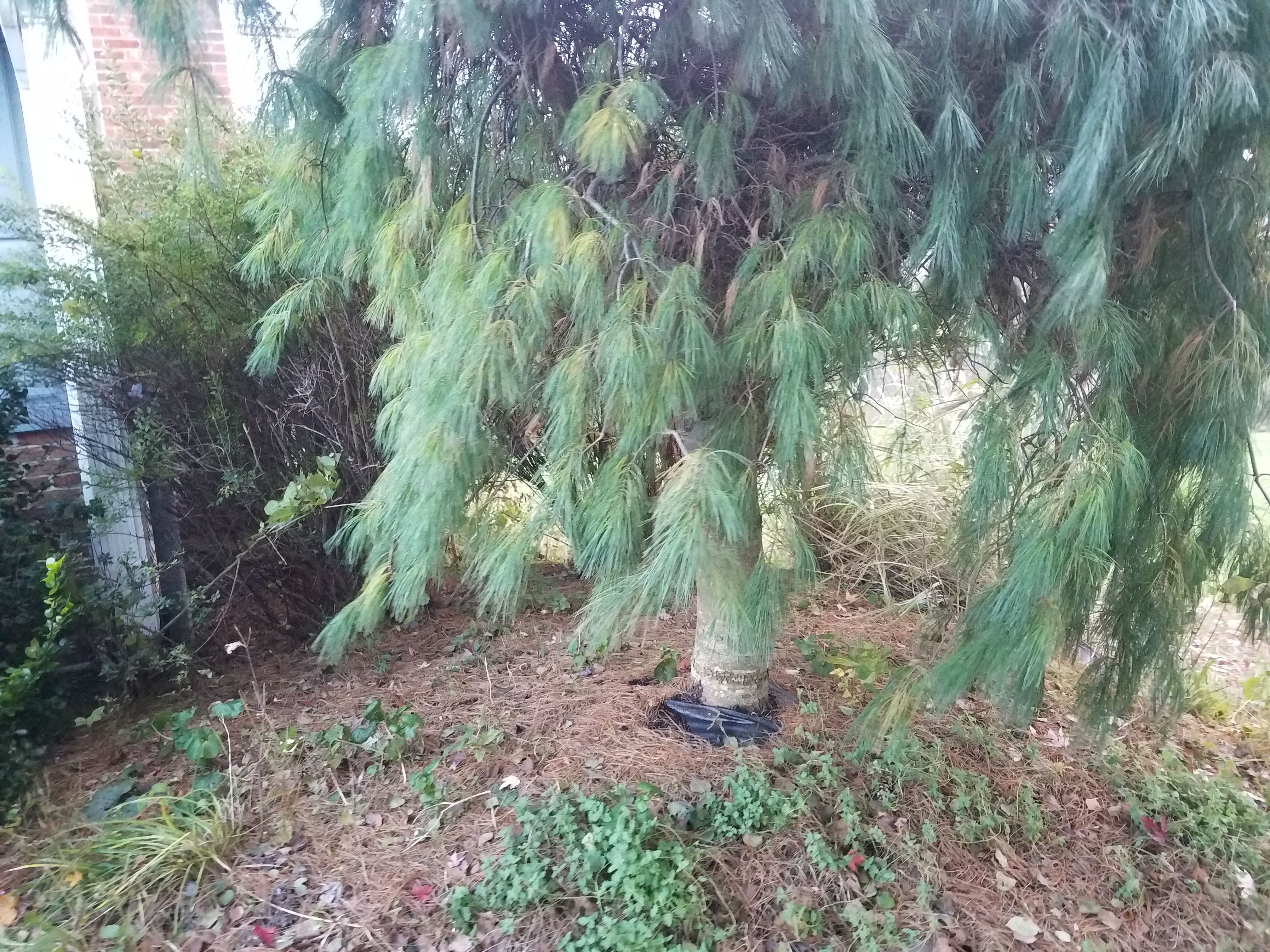  for Down Home Landscaping in Stillwater, PA