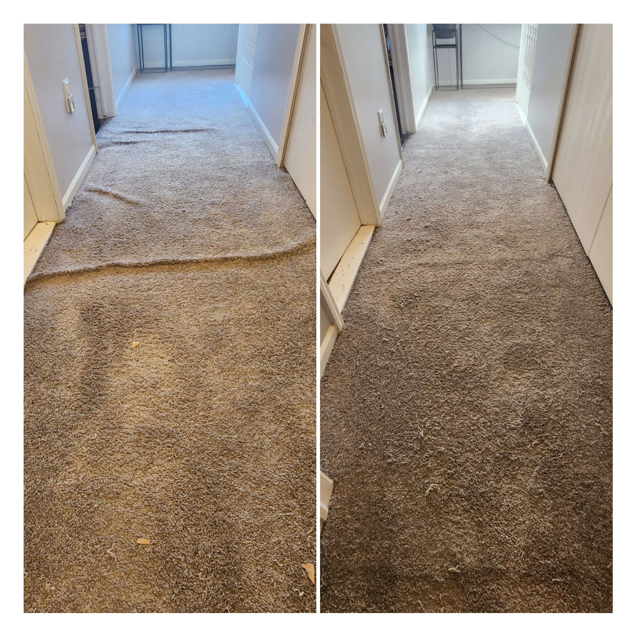 Carpet Restretching for Cut a Rug Flooring Installation in Lake Orion, MI