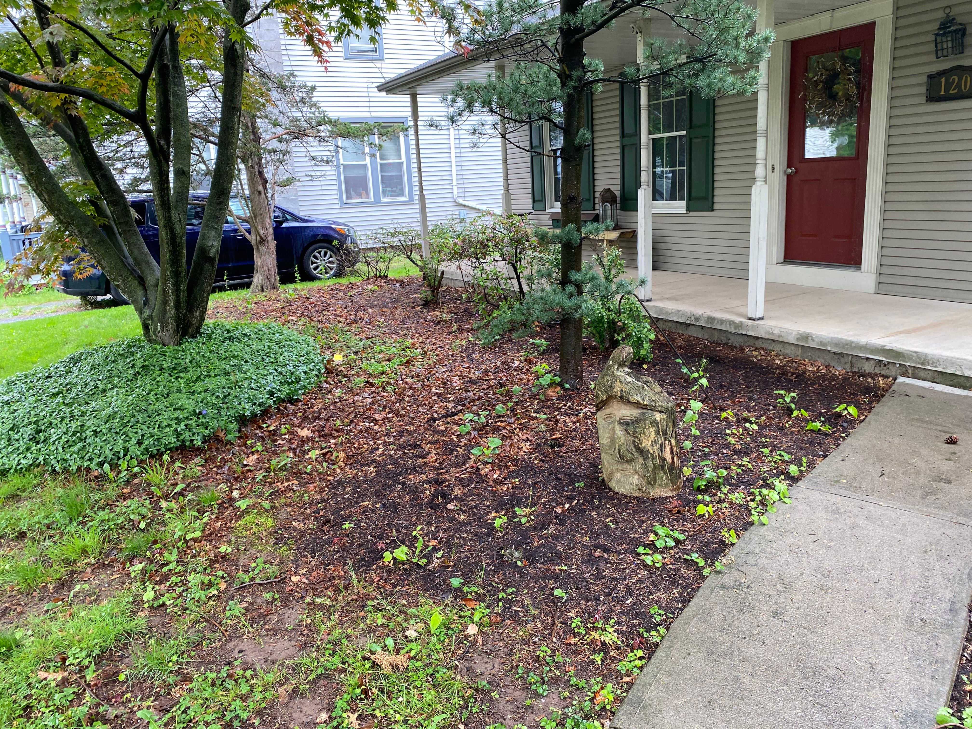  for Saul’s Landscaping Services in Jersey Shore, PA