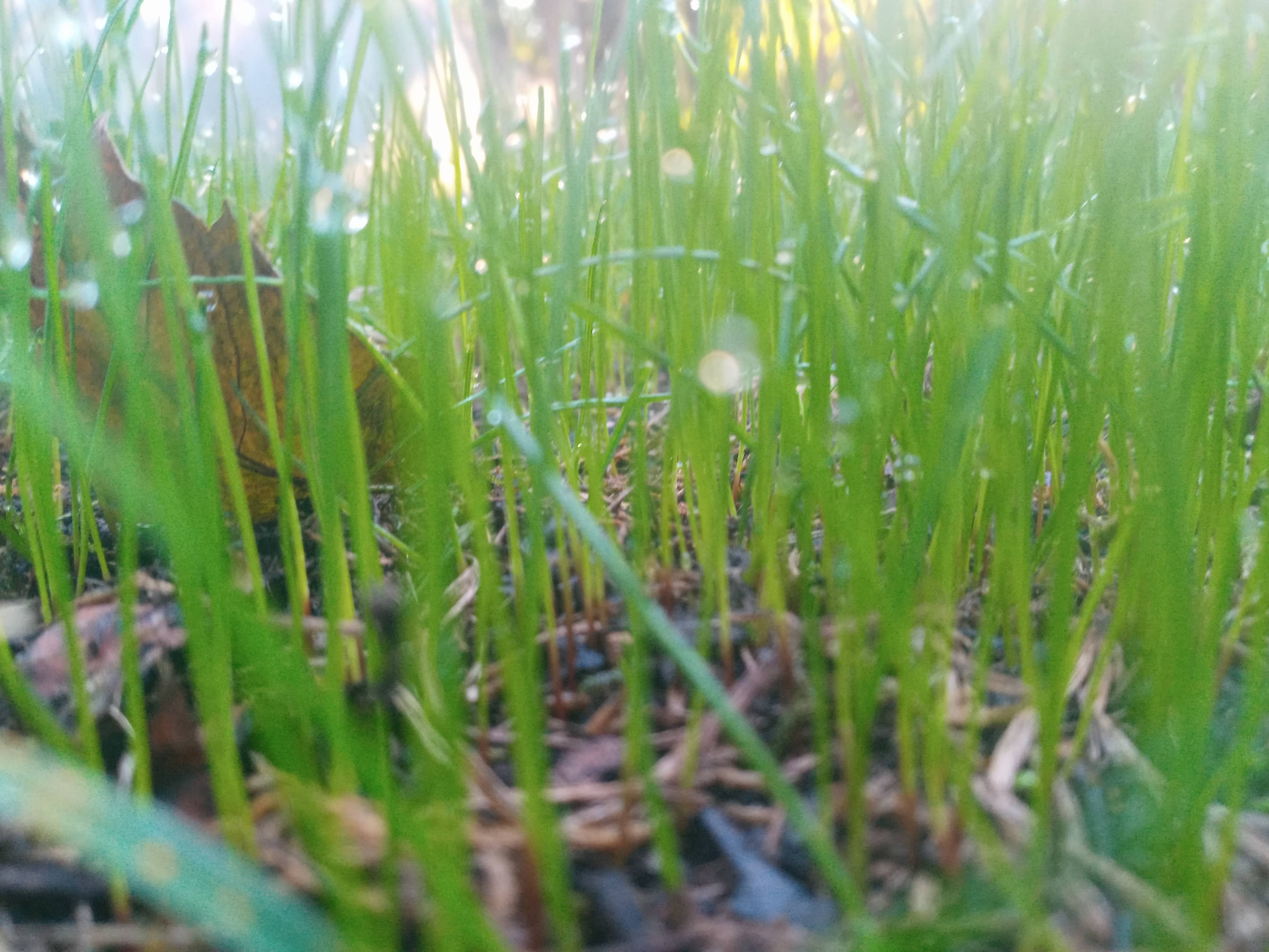  for Sam I AM Property Solutions in Sunderland, MD