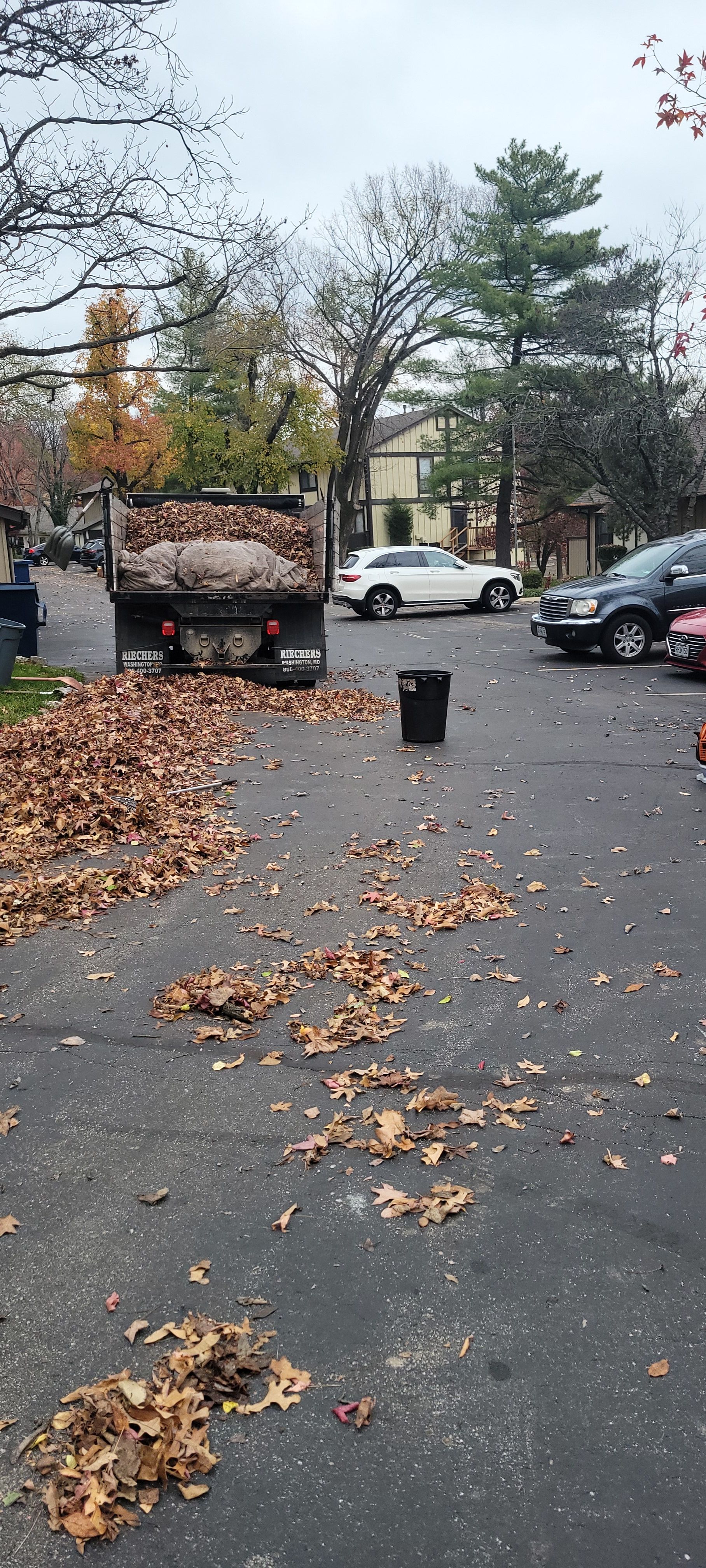  for Contemporary Landscape in St. Louis, MO