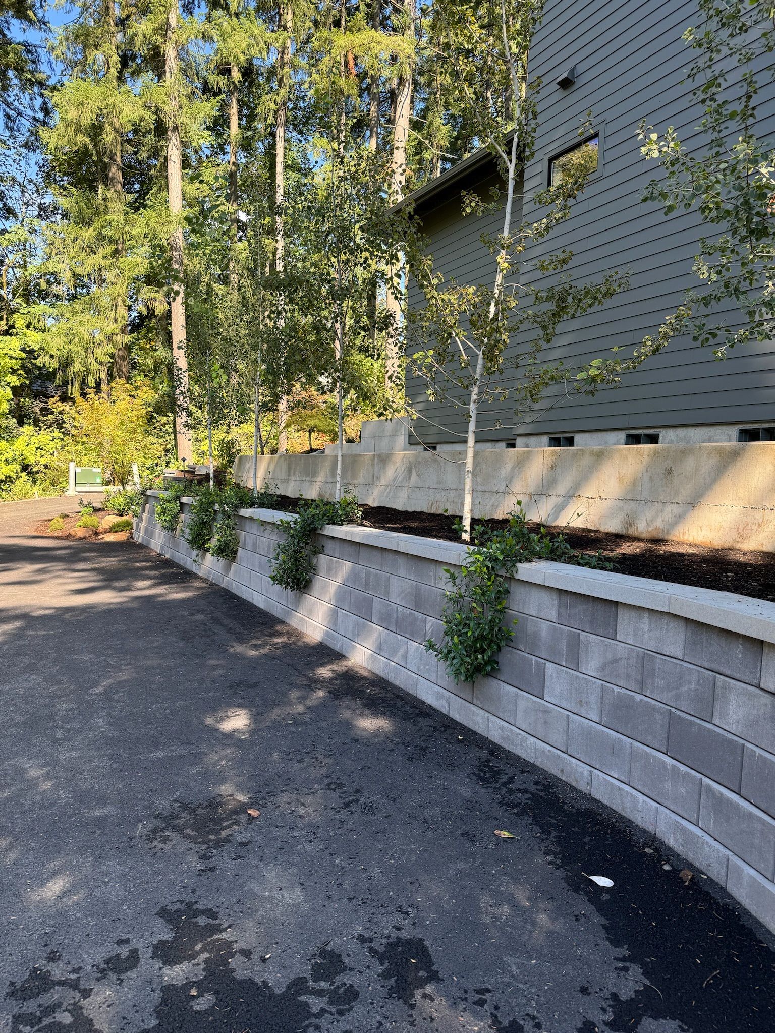  for Courtney Lewis Landscape Design in Portland, OR