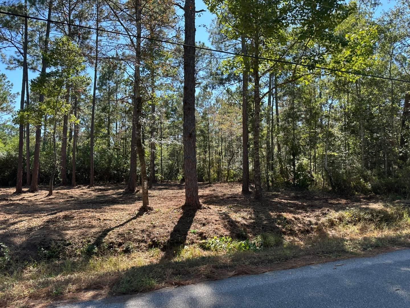  for White’s Land Maintenance in Milton,, FL
