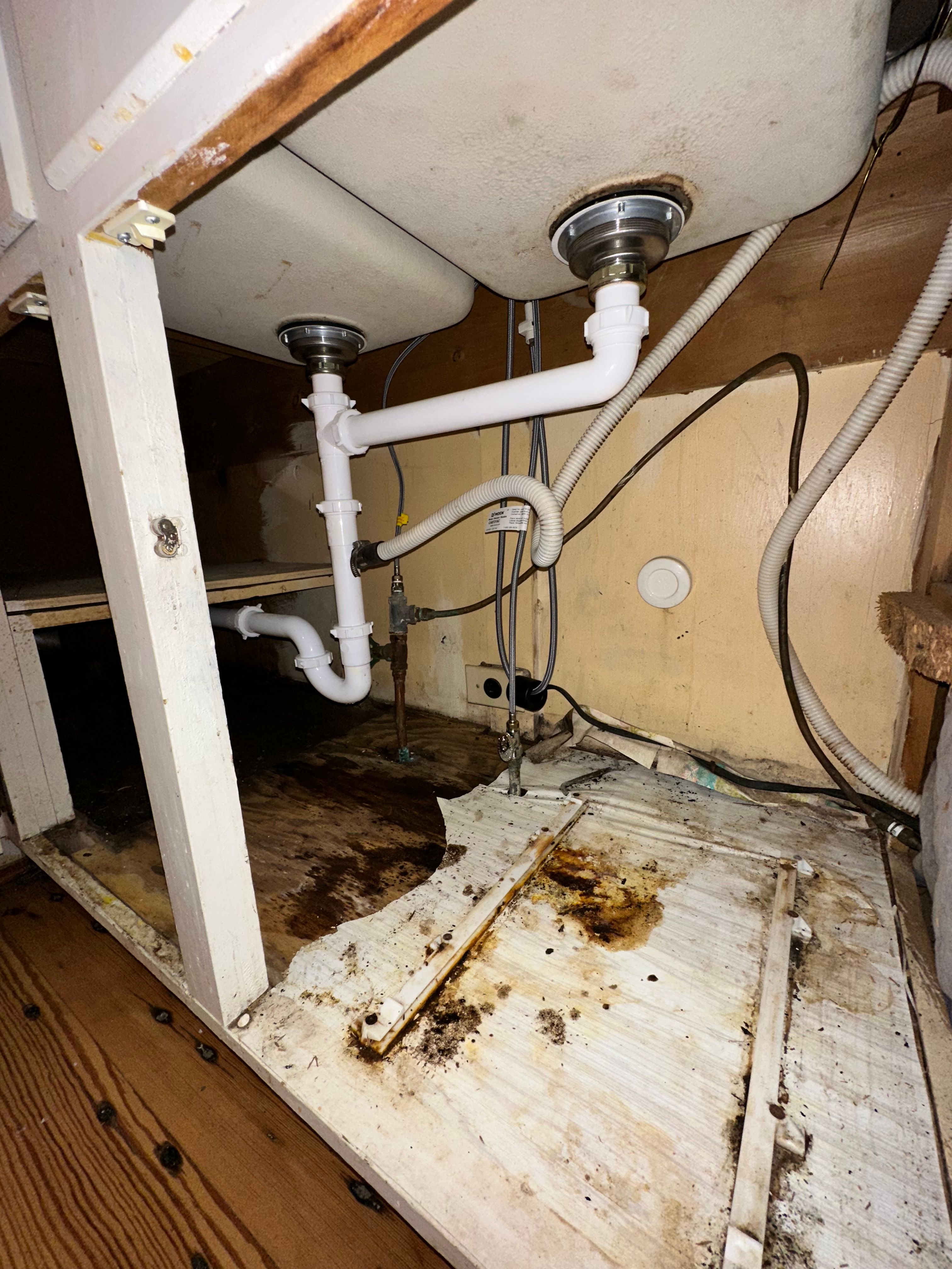 All Photos for The Golden Plumber in Pensacola, FL