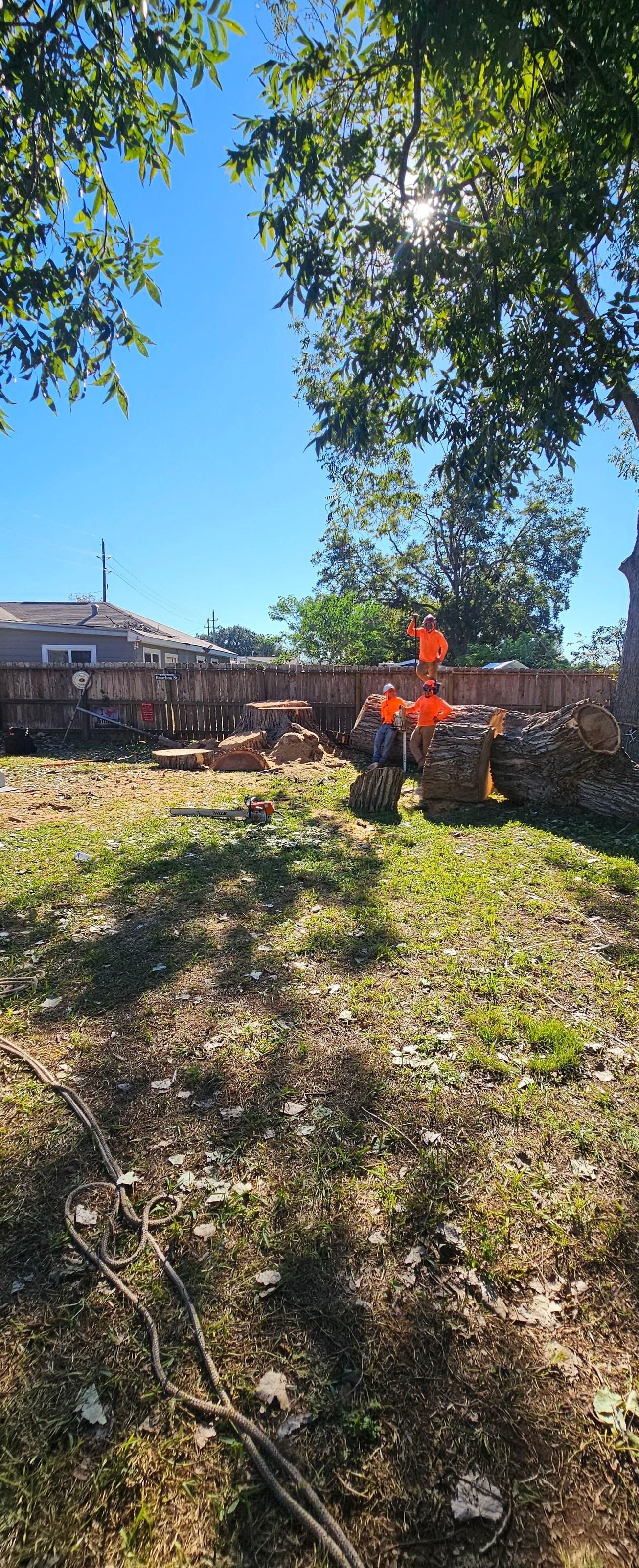  for Servin's Tree Care  in Houston, TX