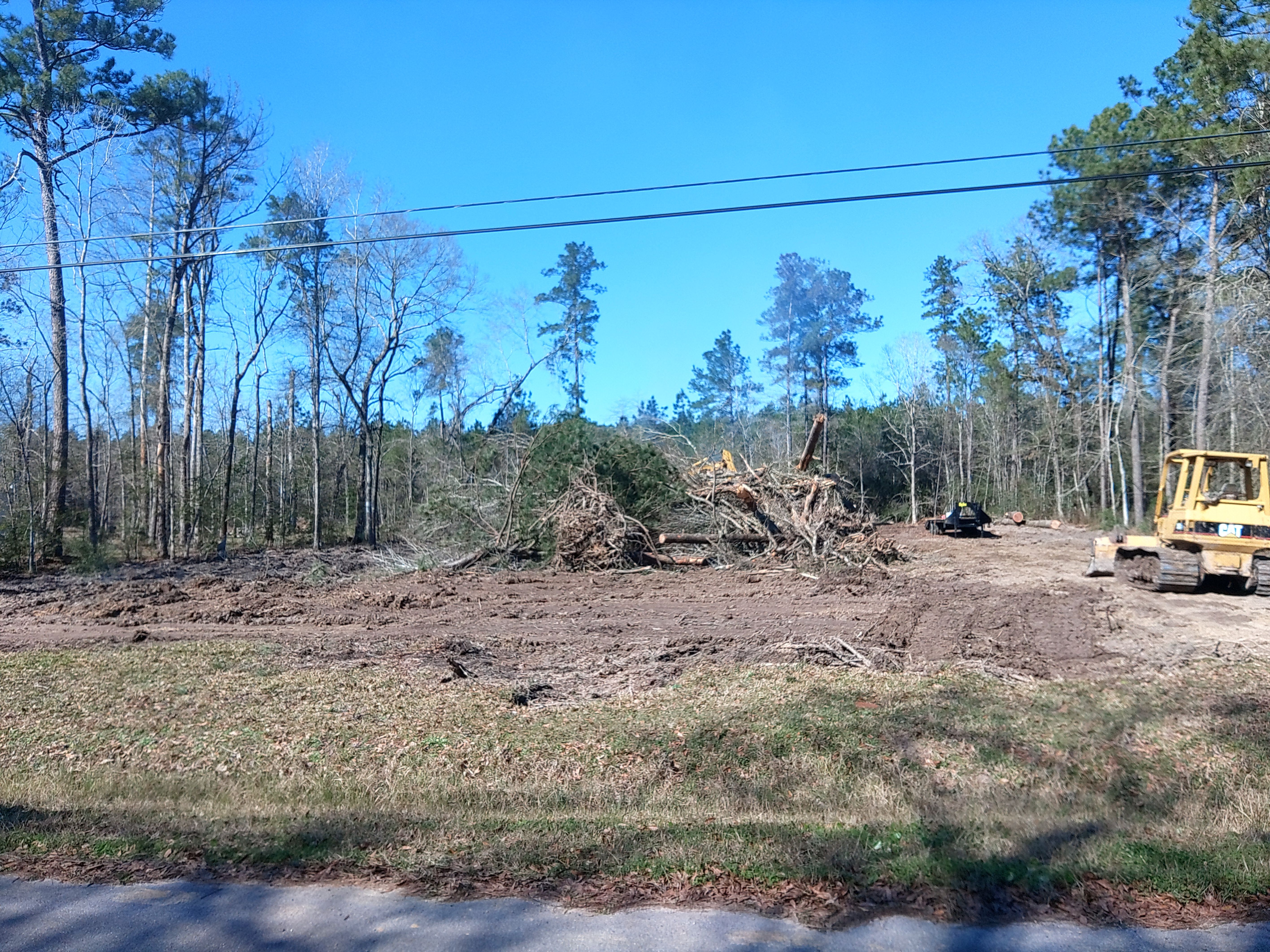 All Photos for Big Thicket Land Clearing in Kountze, TX