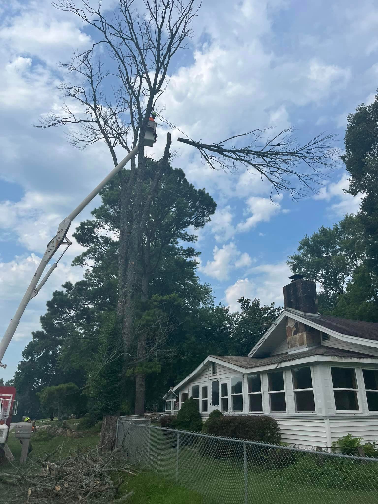  for H n H Tree Service in Taneyville, MO