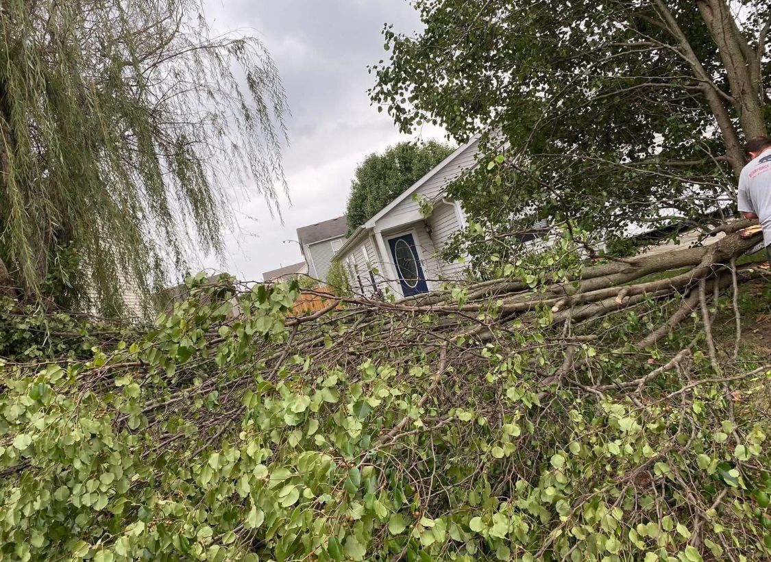 All Photos for Bearforce Lawn Care LLC in Greenfield, IN