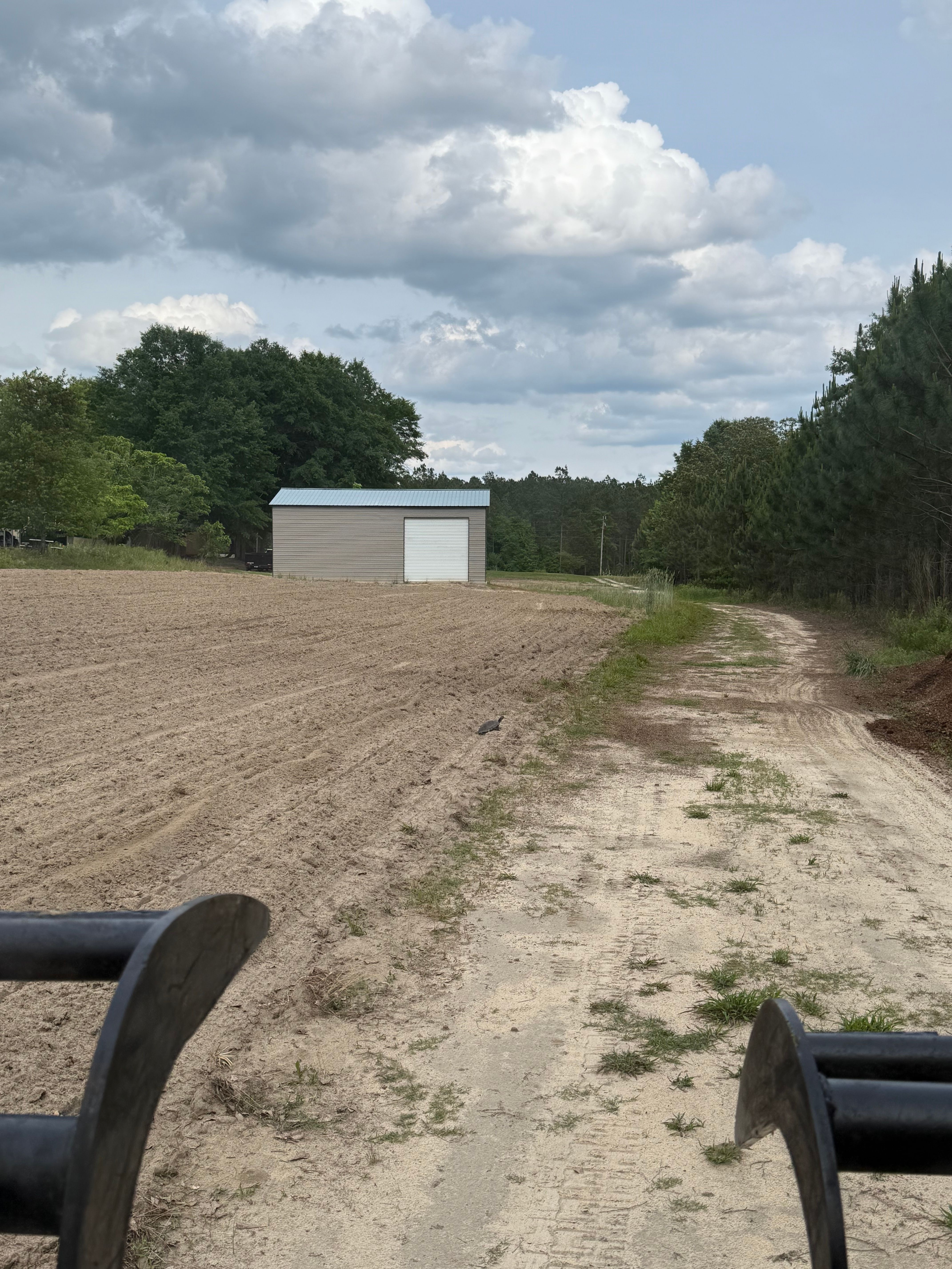  for T N L - Tree and Land Service in Reynolds, GA
