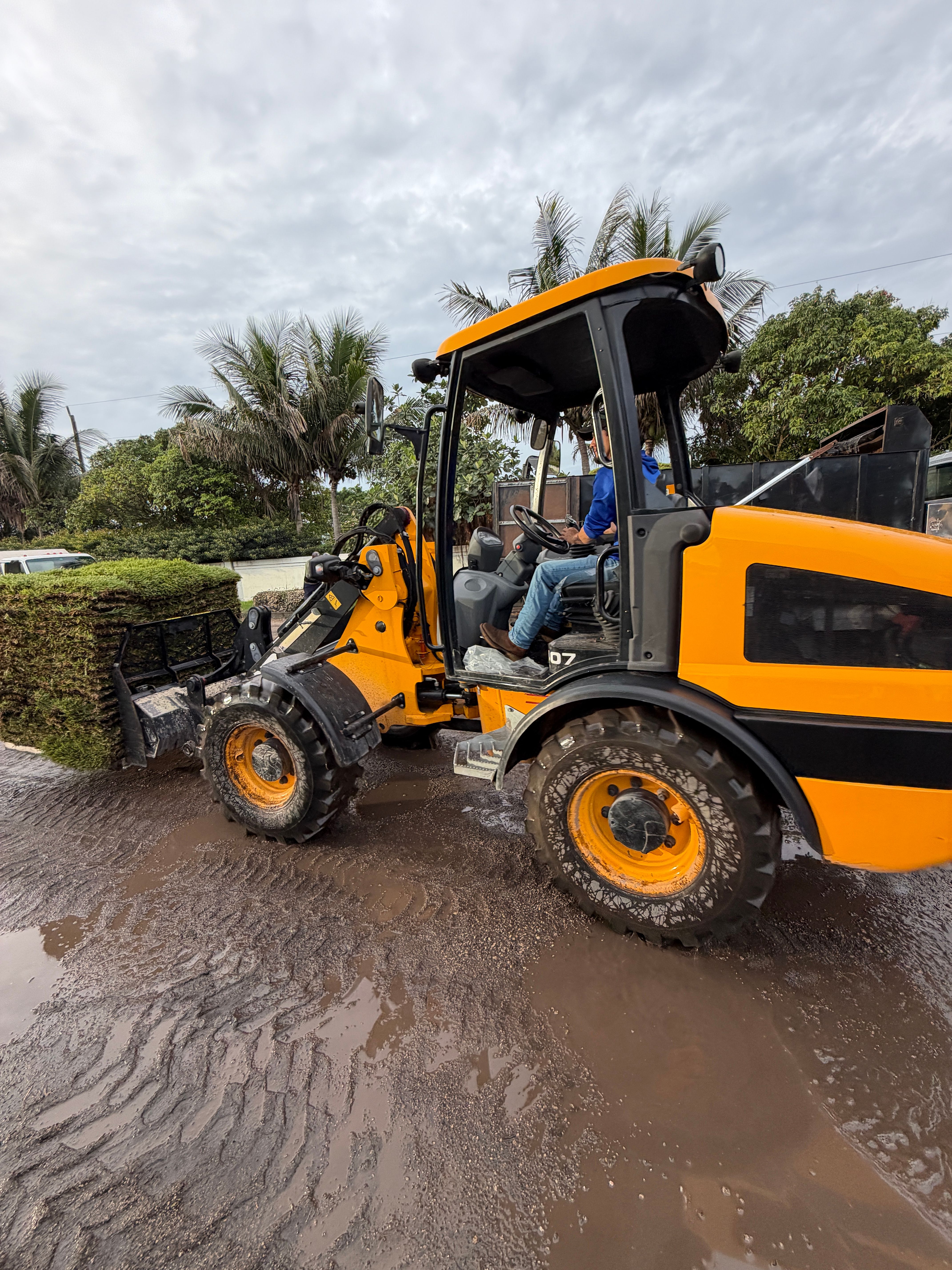  for Nurry Tree Services in Miami, FL