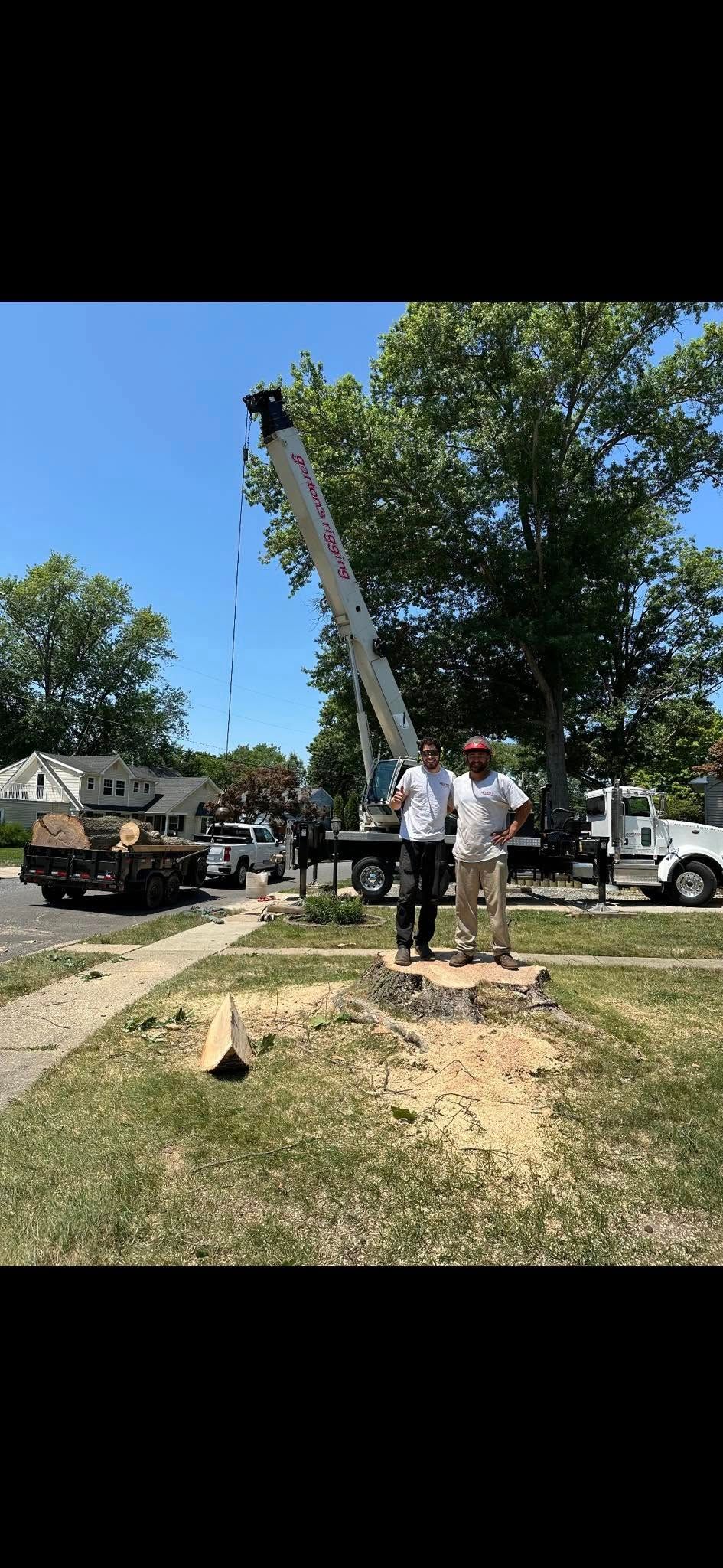 All Photos for Melnyk’s Tree Service in Salem County, NJ