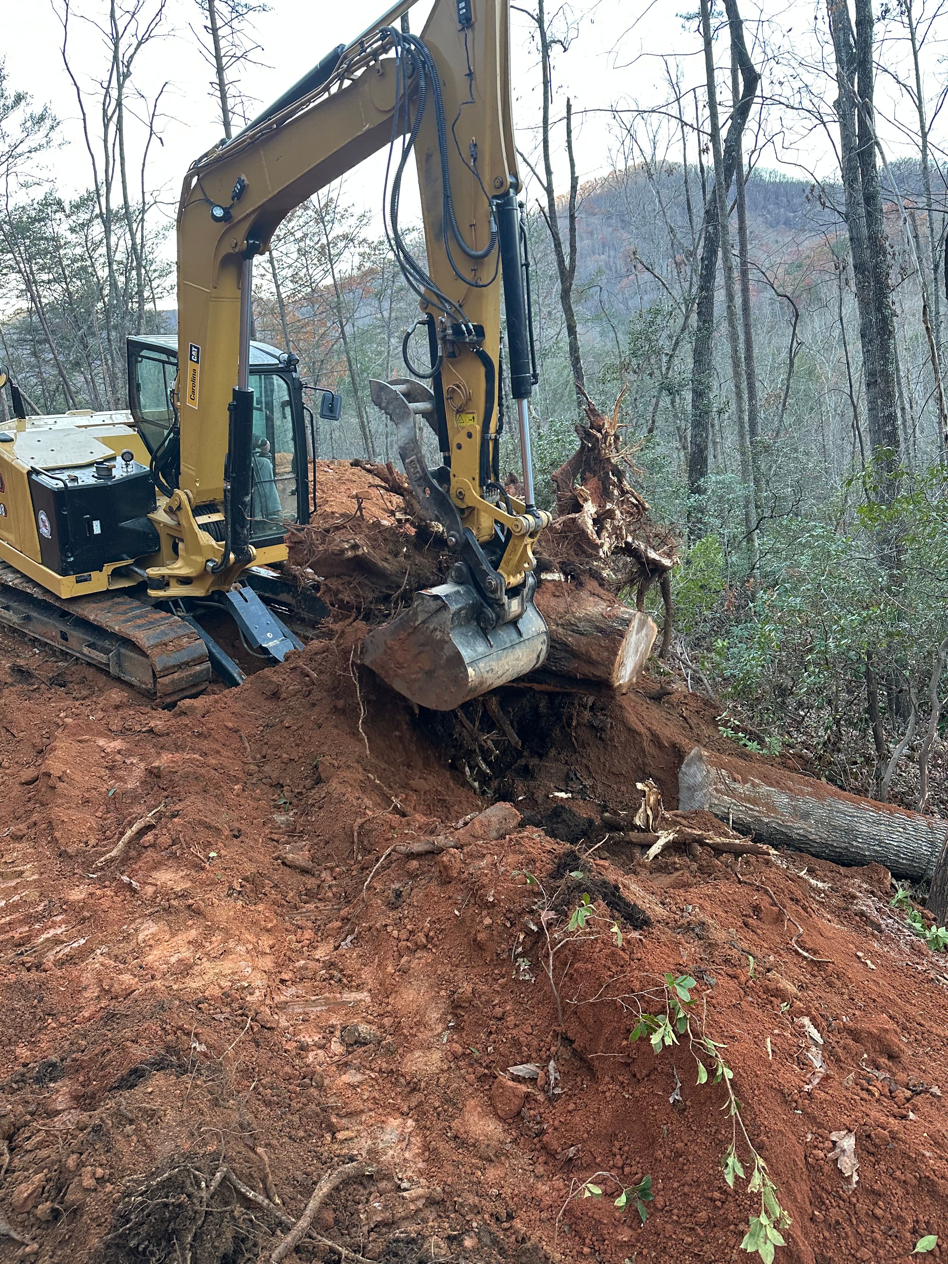  for Stines and Company  in Rutherfordton, NC