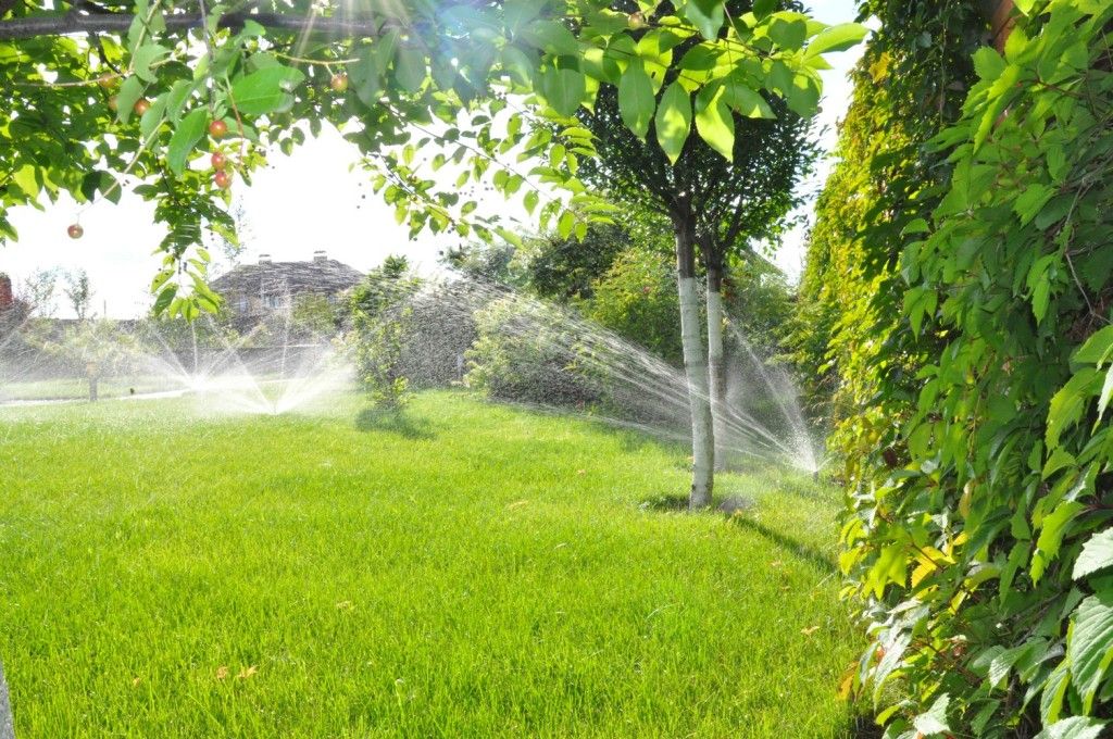 All Photos for Phillips Lawn Services in Ravenna, MI