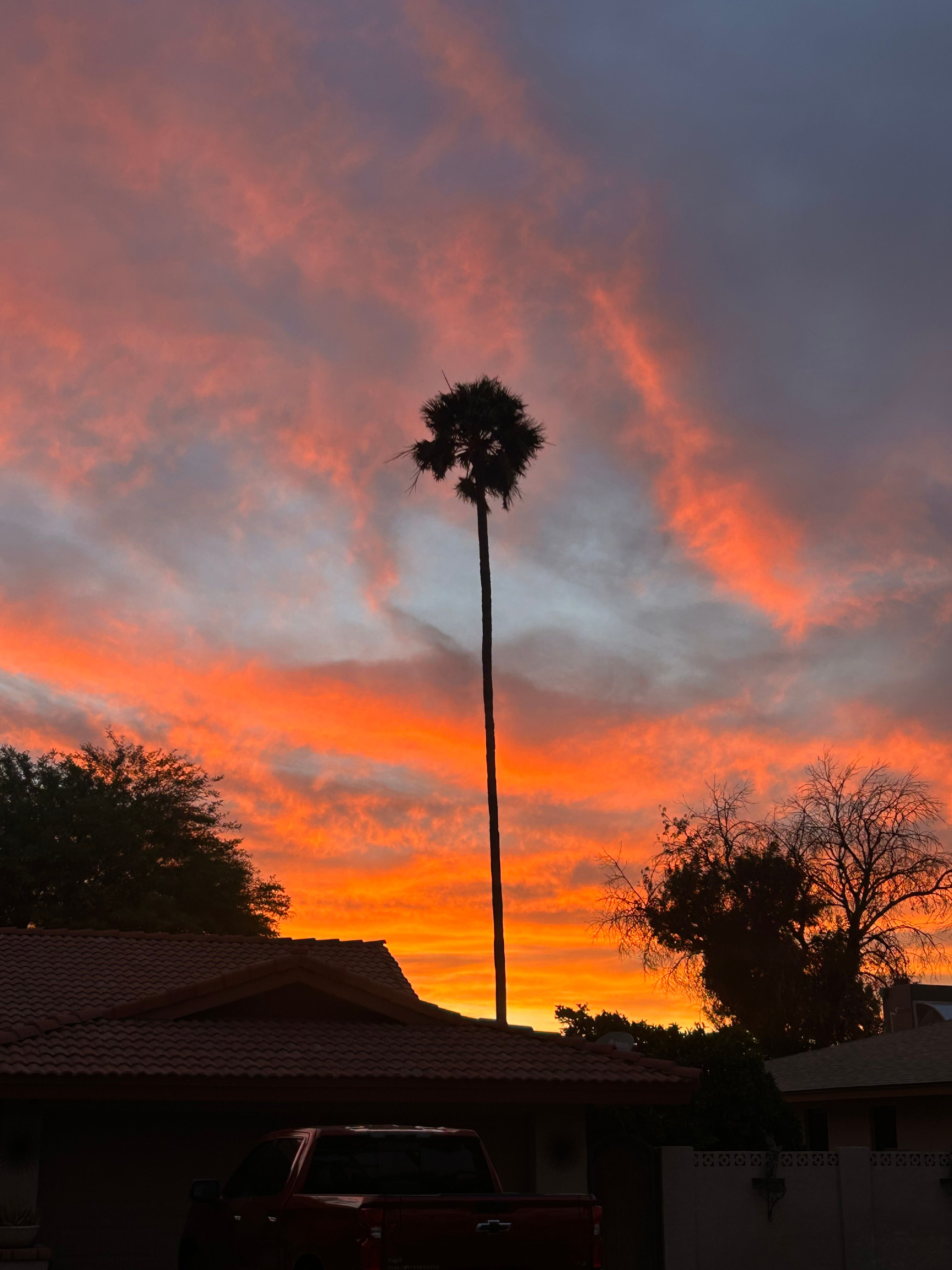 for Copperhead Solution in Phoenix, Arizona