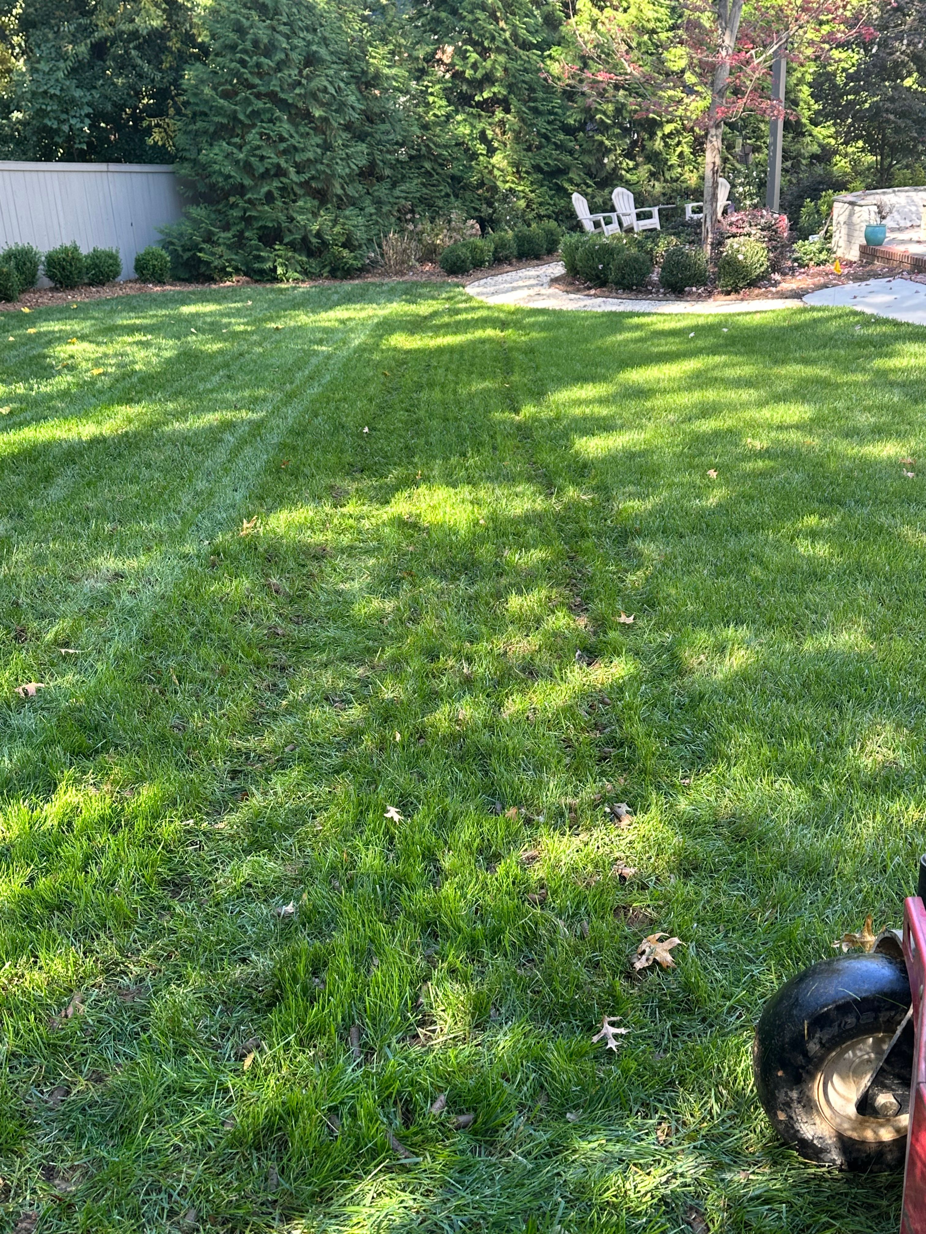  for Pecina Pine Needles in Monroe, NC