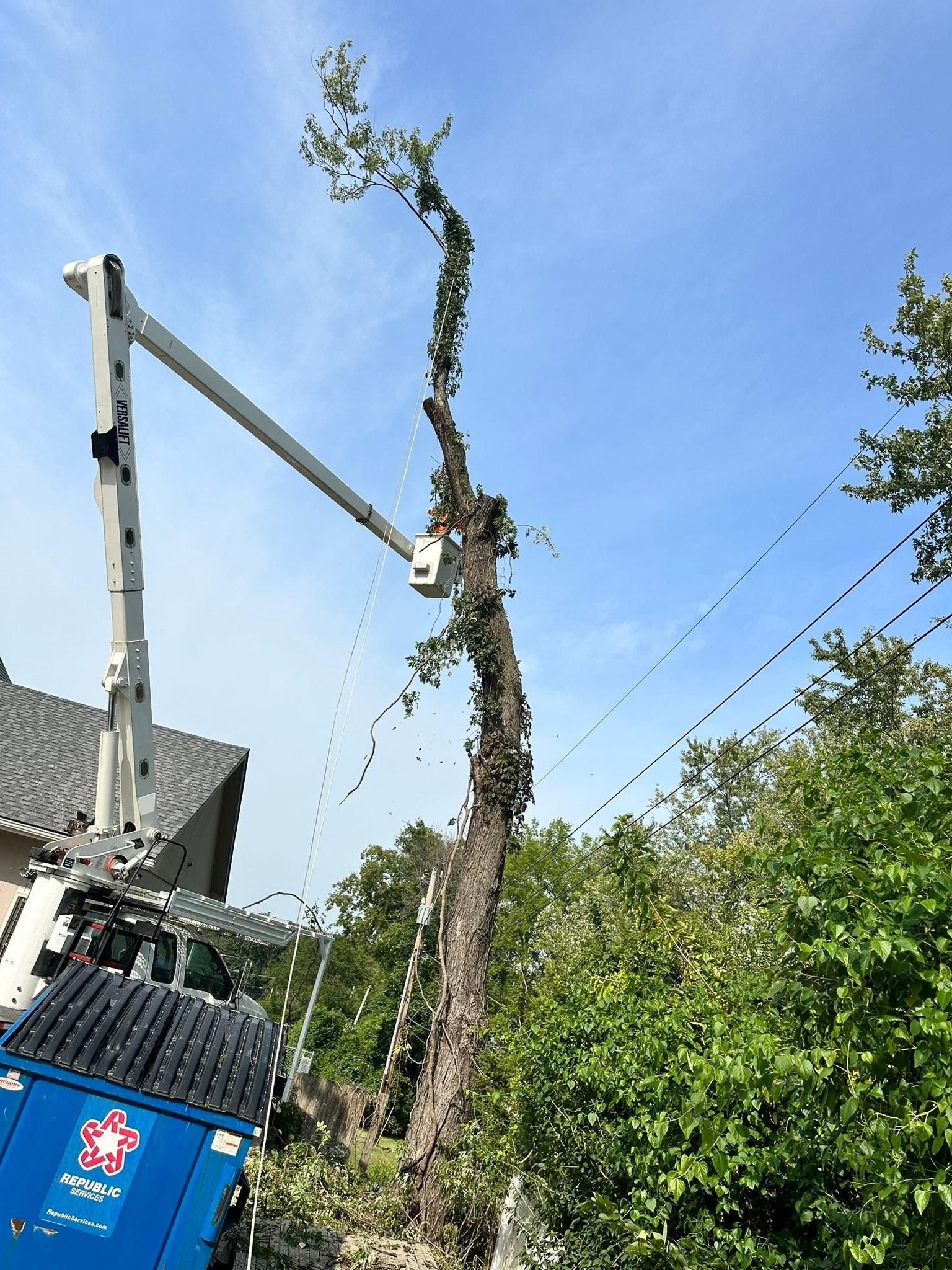 All Photos for Cross Family Tree Service in Kearney, MO