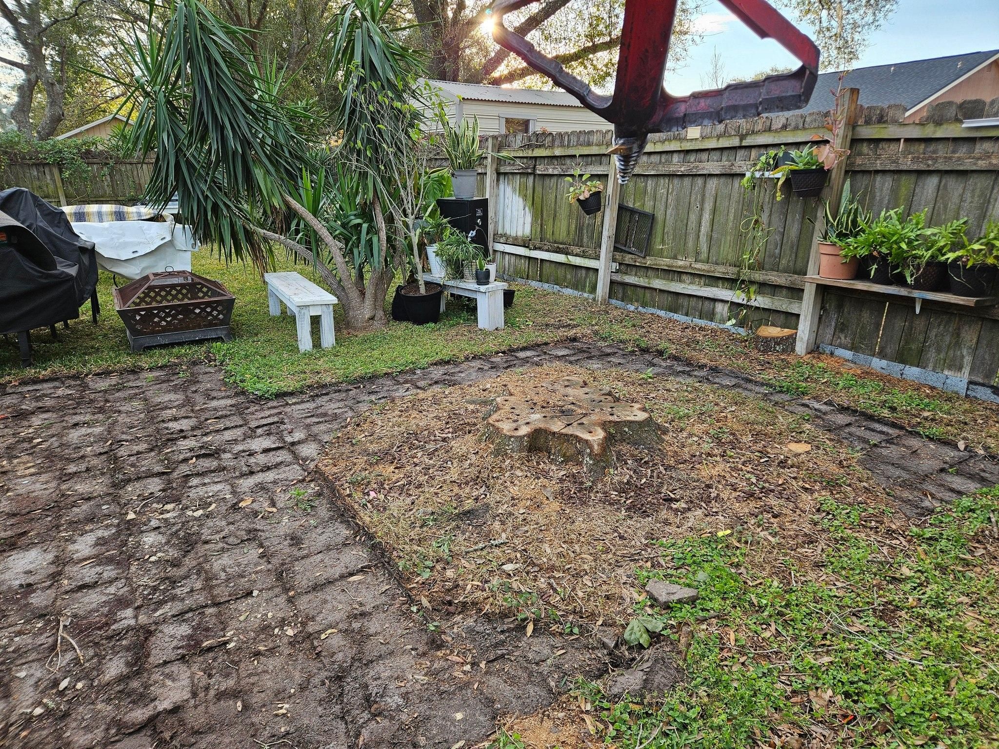  for Bay Area Bobcat in Riverview, FL