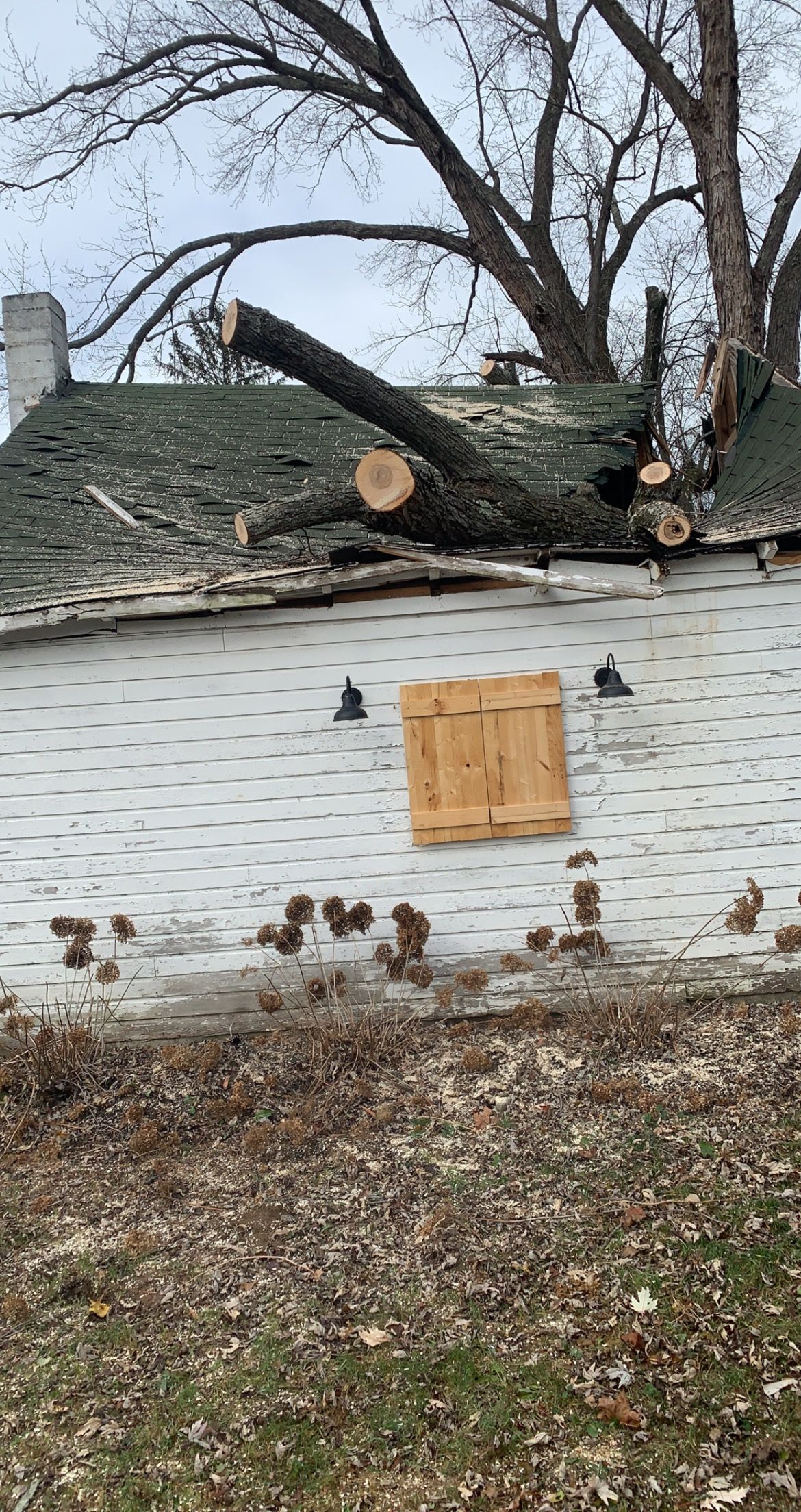 Tree Removal for Benjamin & Sons in Elmira, NY