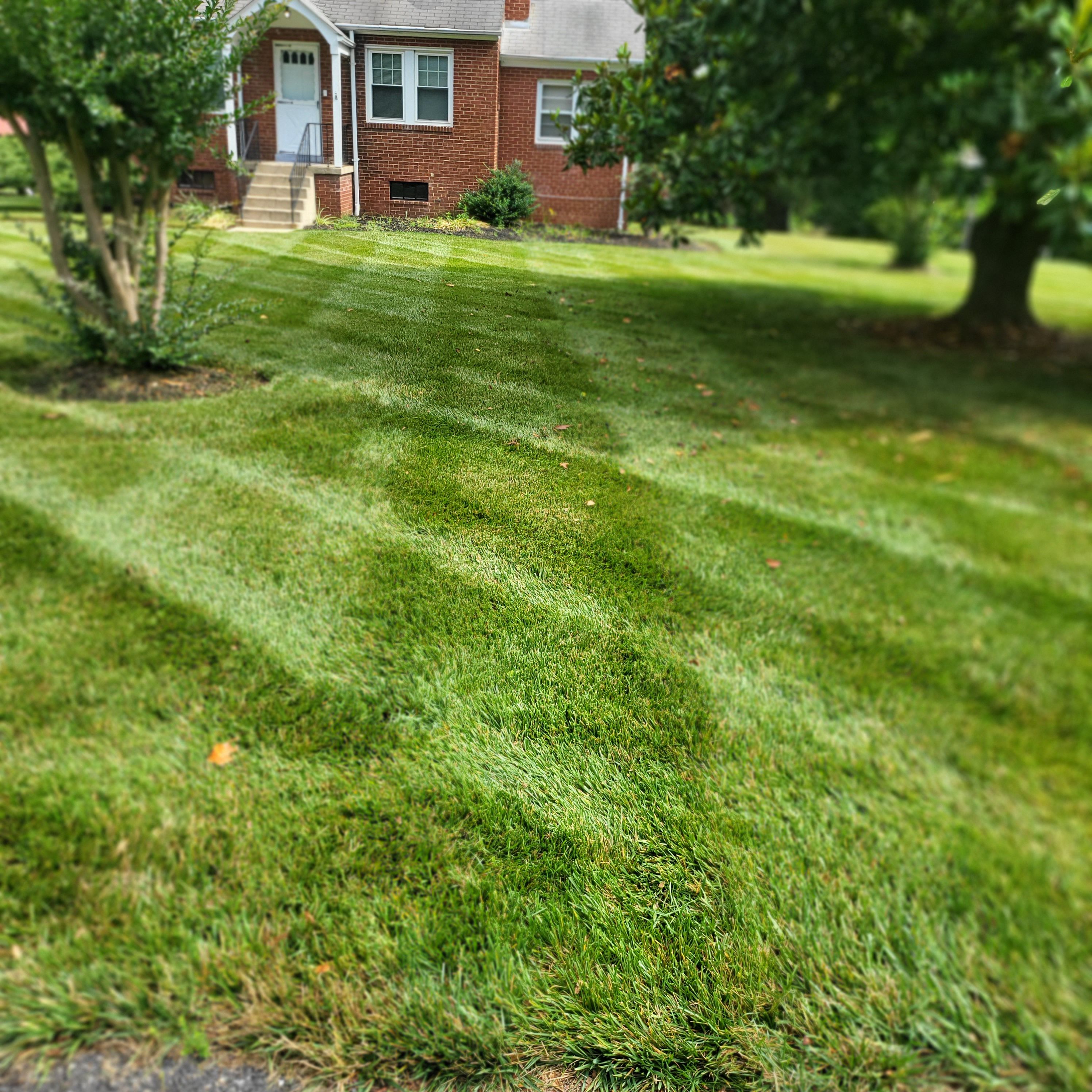  for Sam I AM Property Solutions in Sunderland, MD