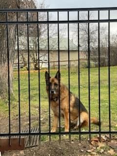  for Quality Custom Fencing in Omak, WA