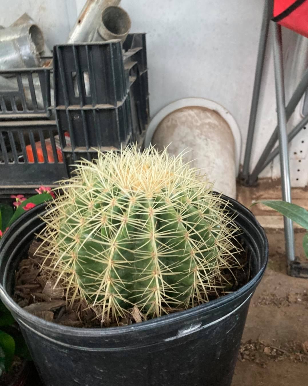 All Photos for S&R Landscaping and Nursery in Charlotte, NC