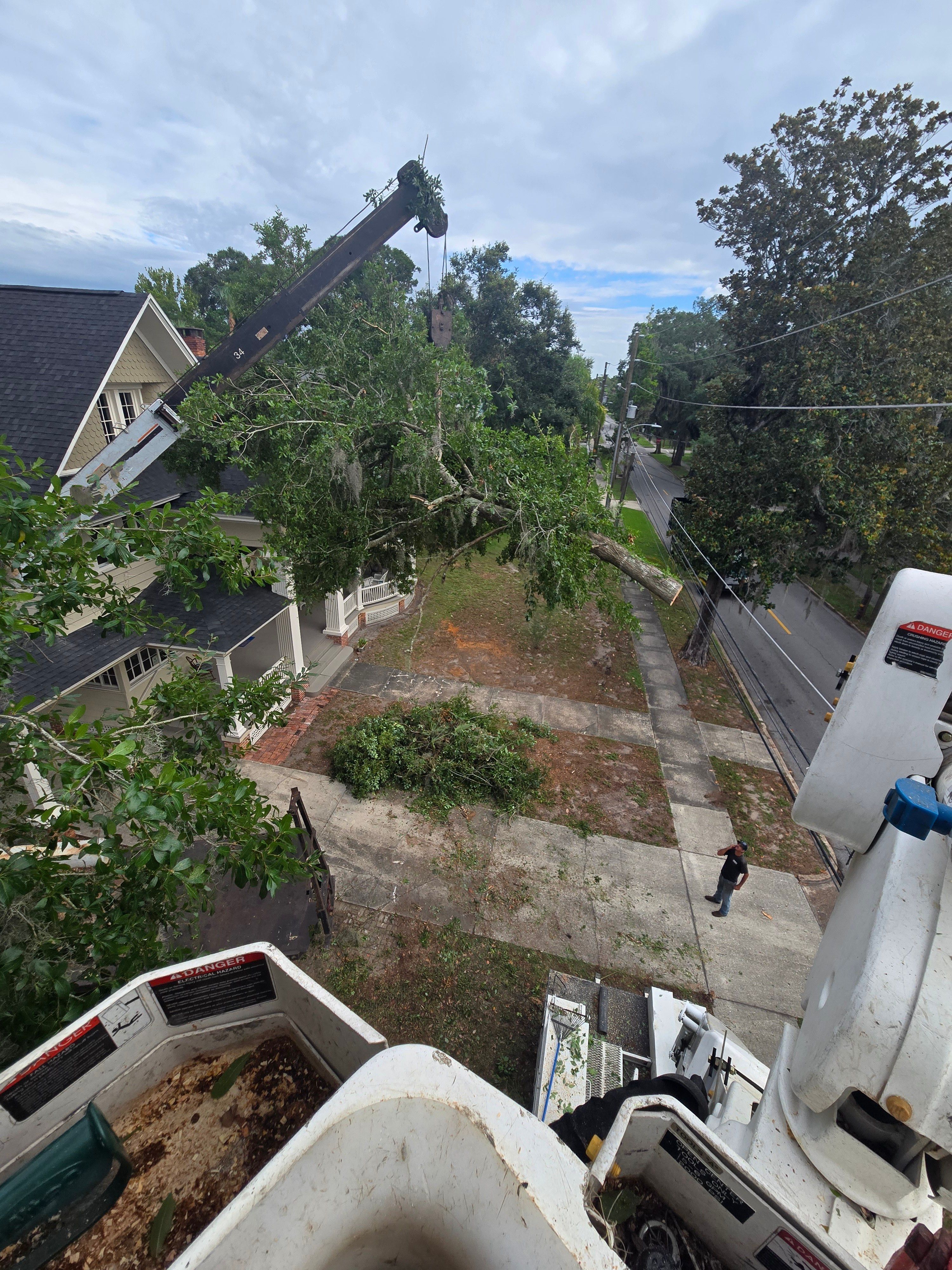 All Photos for Near Me Tree Service, Inc. in DeLand, FL