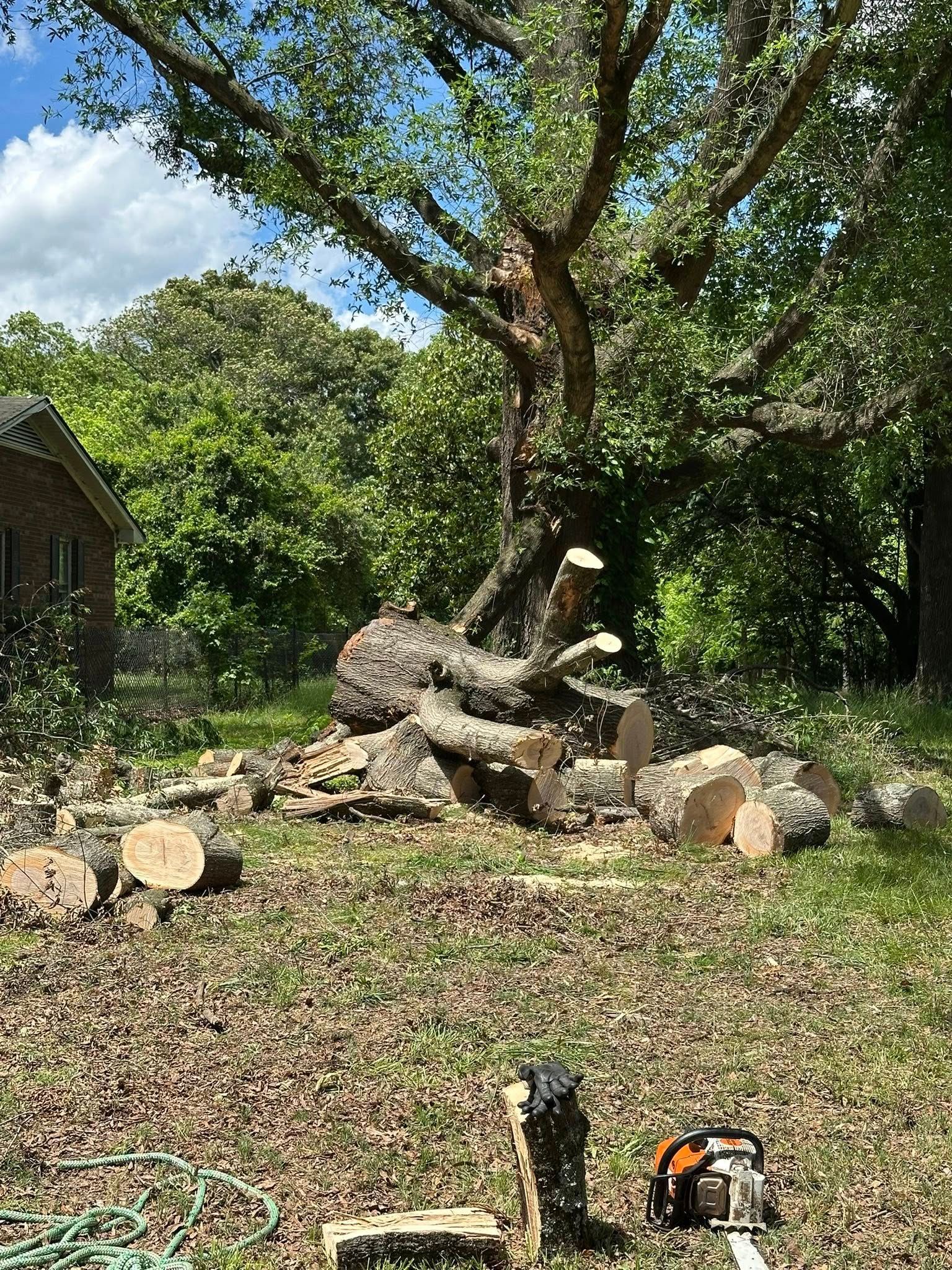  for Ramirez Tree Care in Elkin, NC