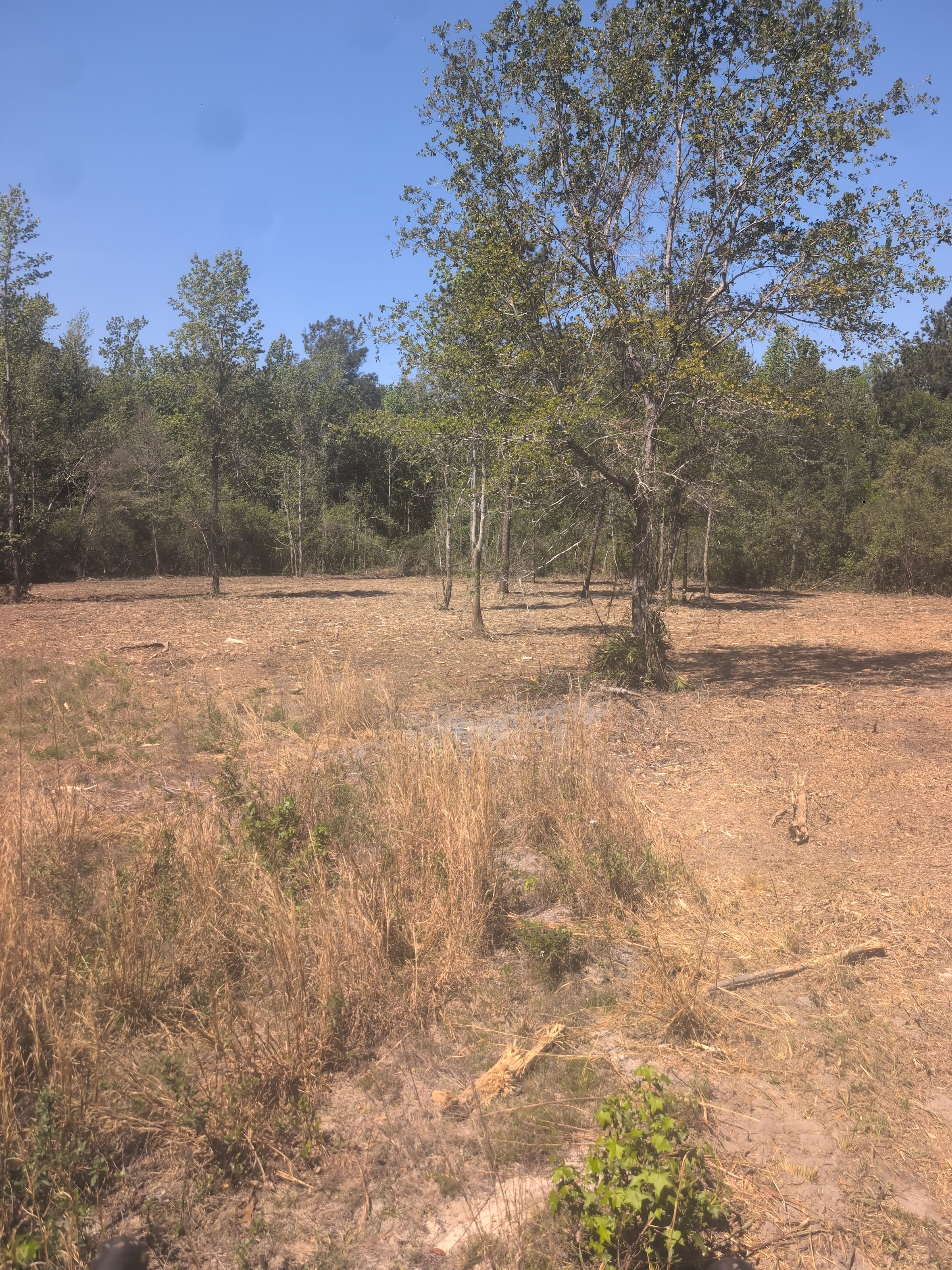  for TDWS Land Management in Blackshear, GA