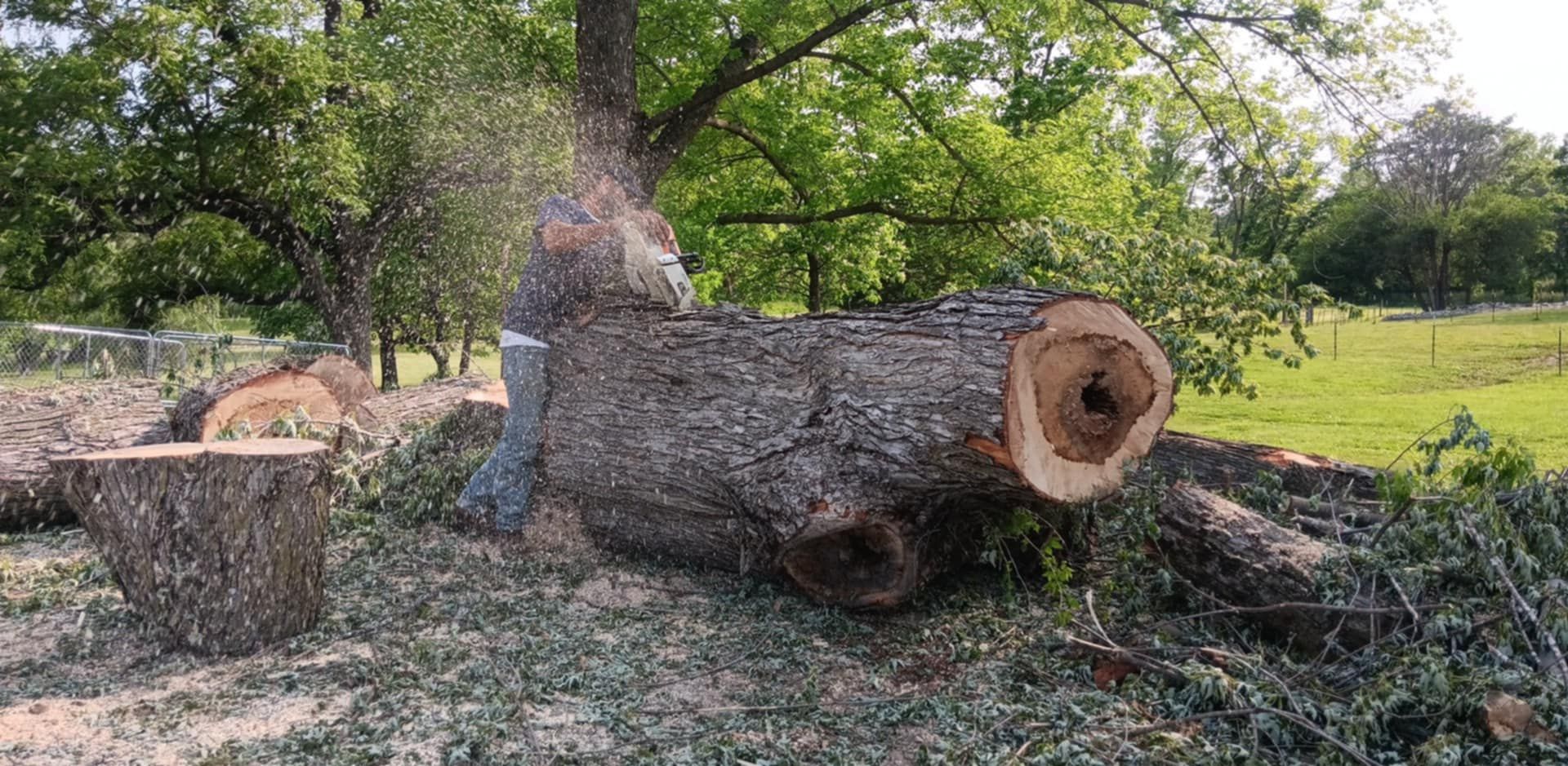  for Lawn Ranger Yard And Tree Service LLC in Ottumwa, IA