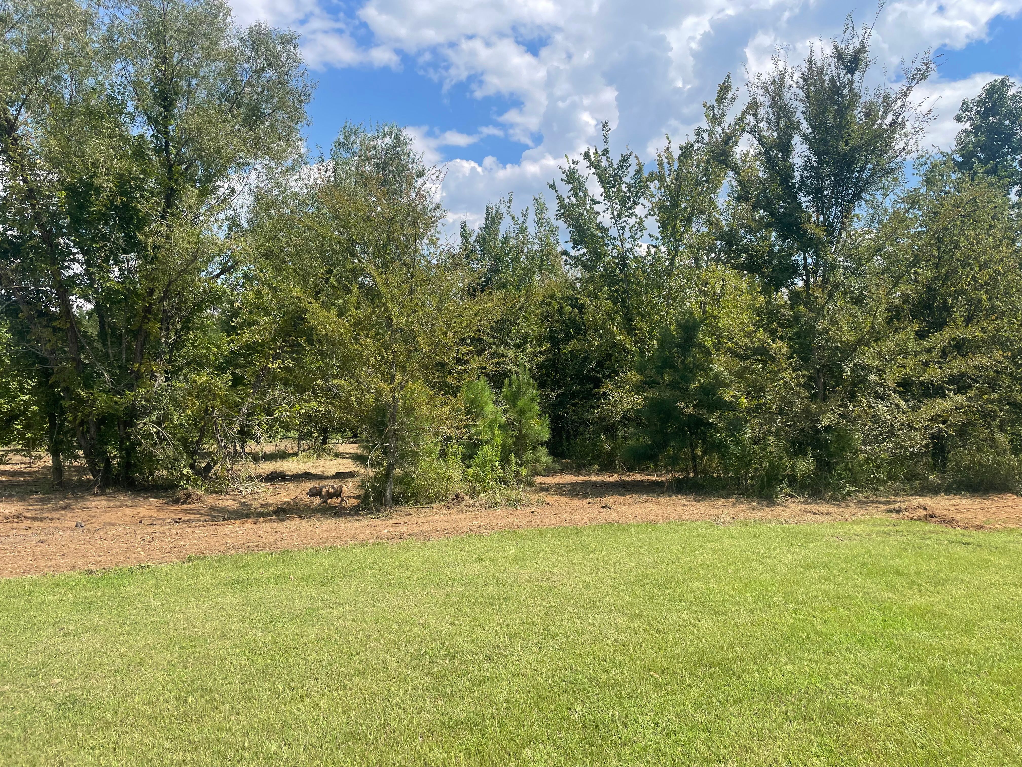  for Circle W Services in Canton, TX