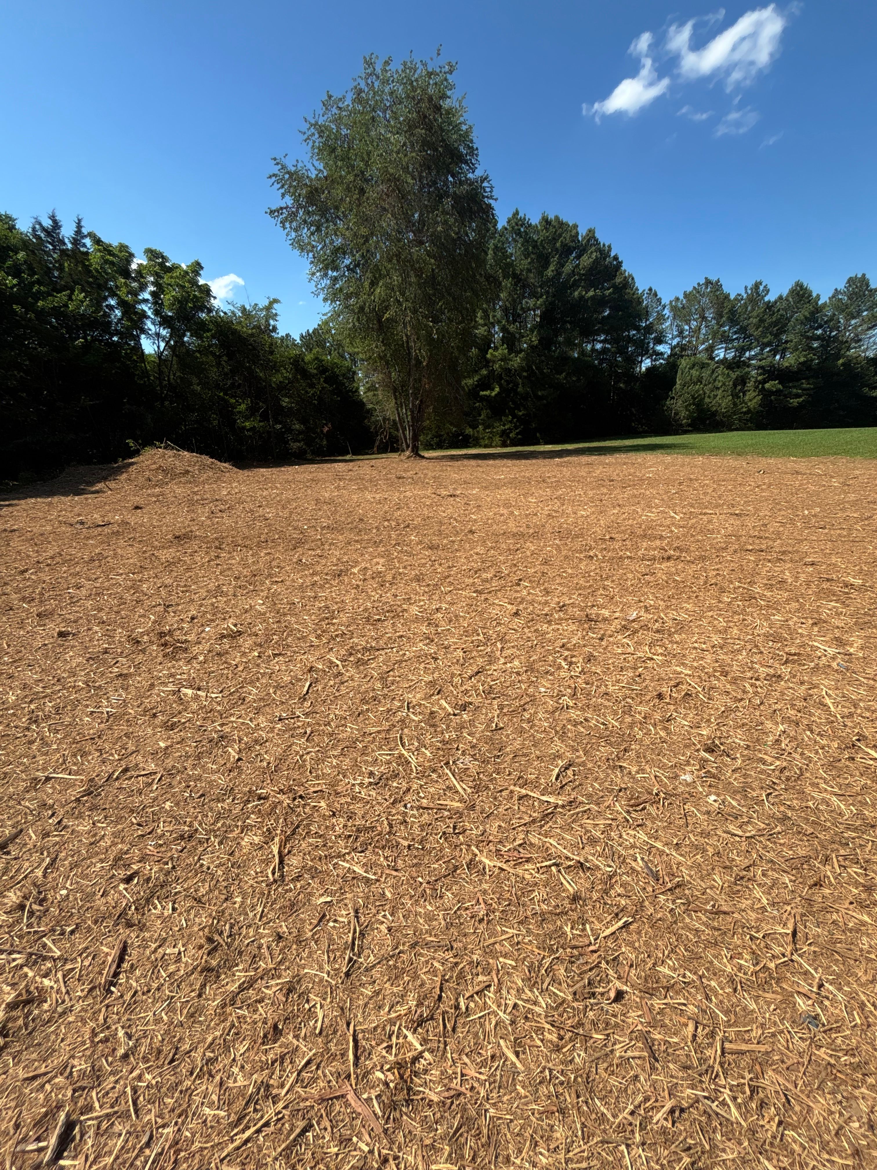  for JC Land Clearing in Shelbyville, TN