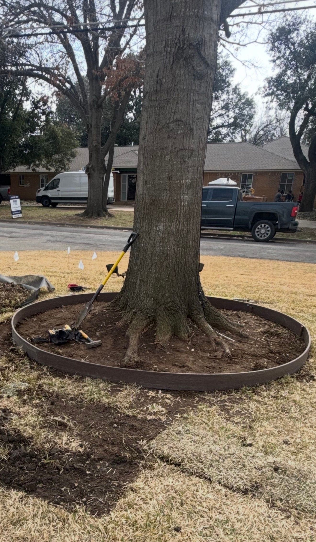  for Tree Valley Landscaping in Dallas, TX