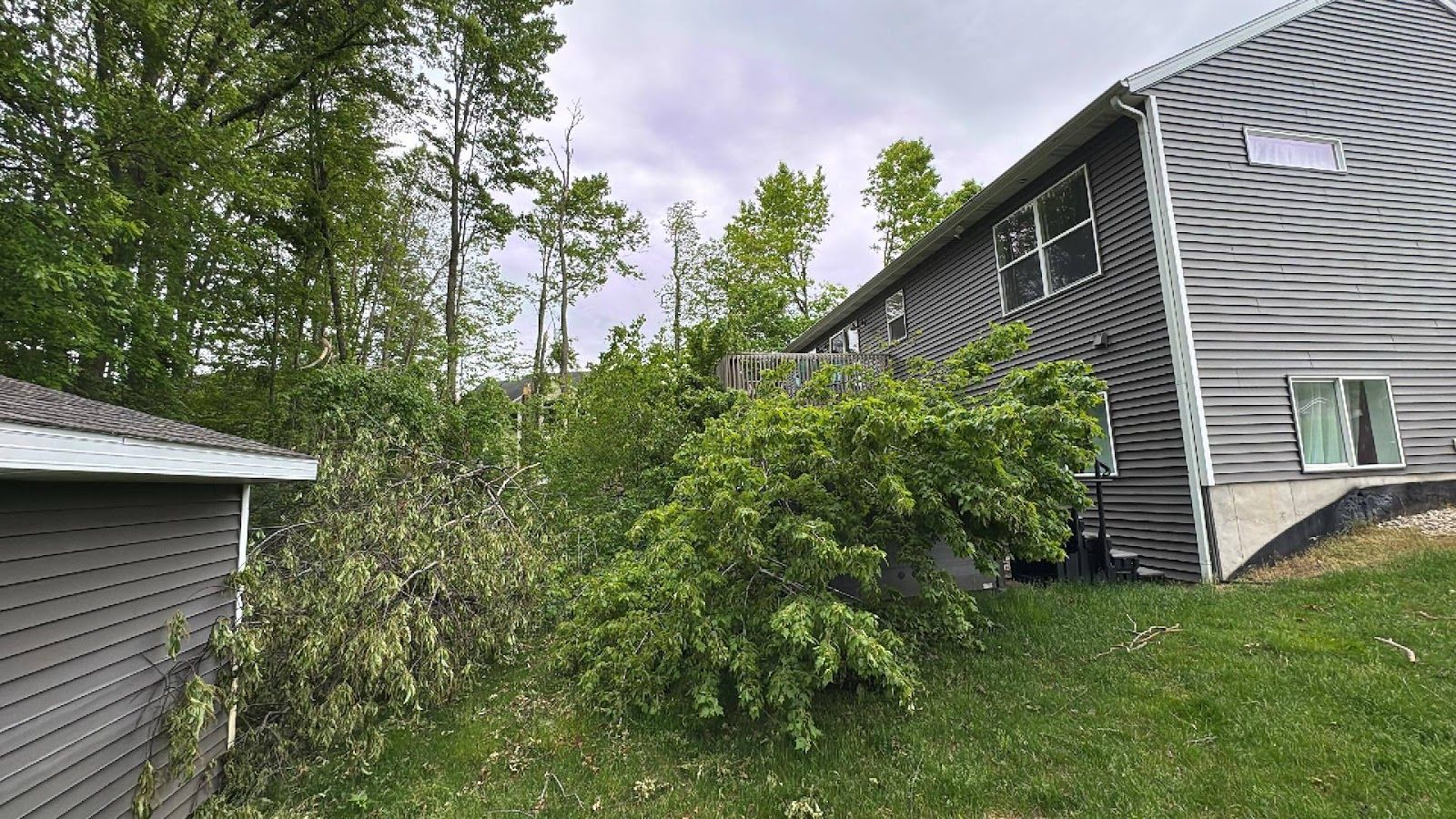  for Branching Out Tree Service in Hastings, MI