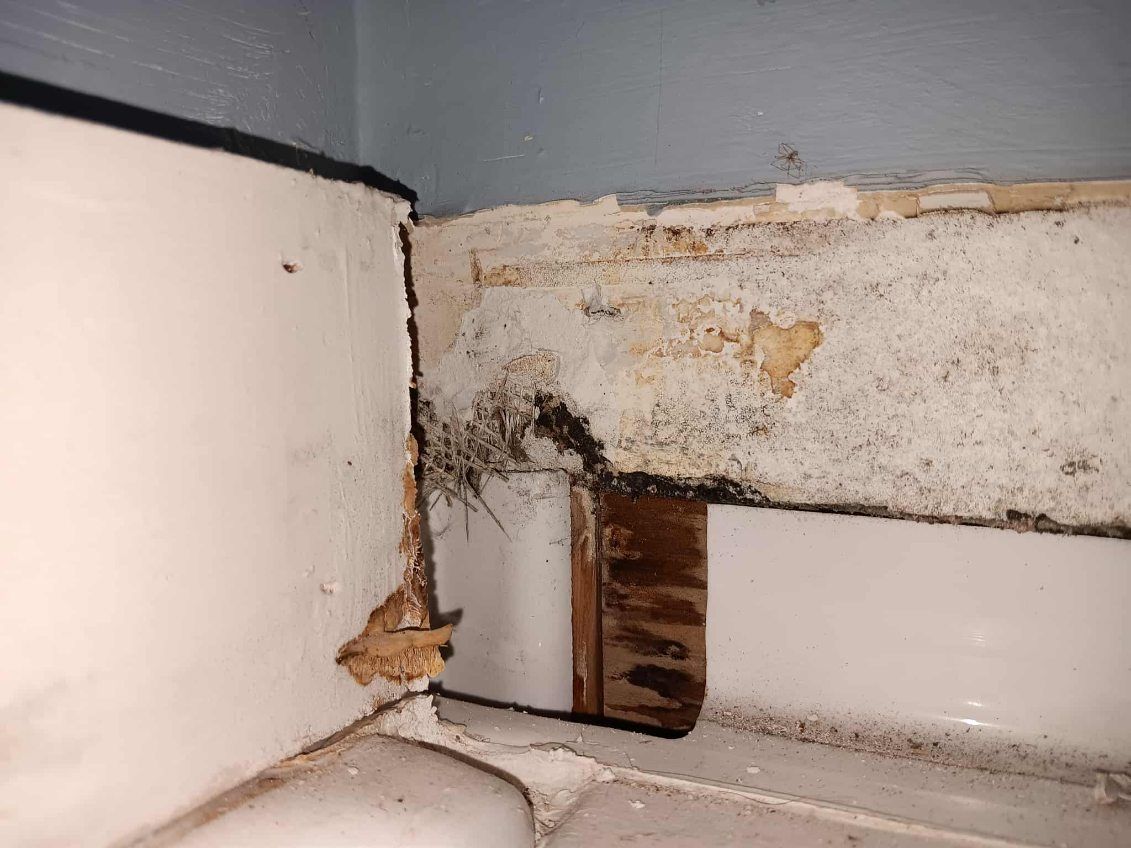  for First Response Reconstruction LLC in New Hampshire, NH