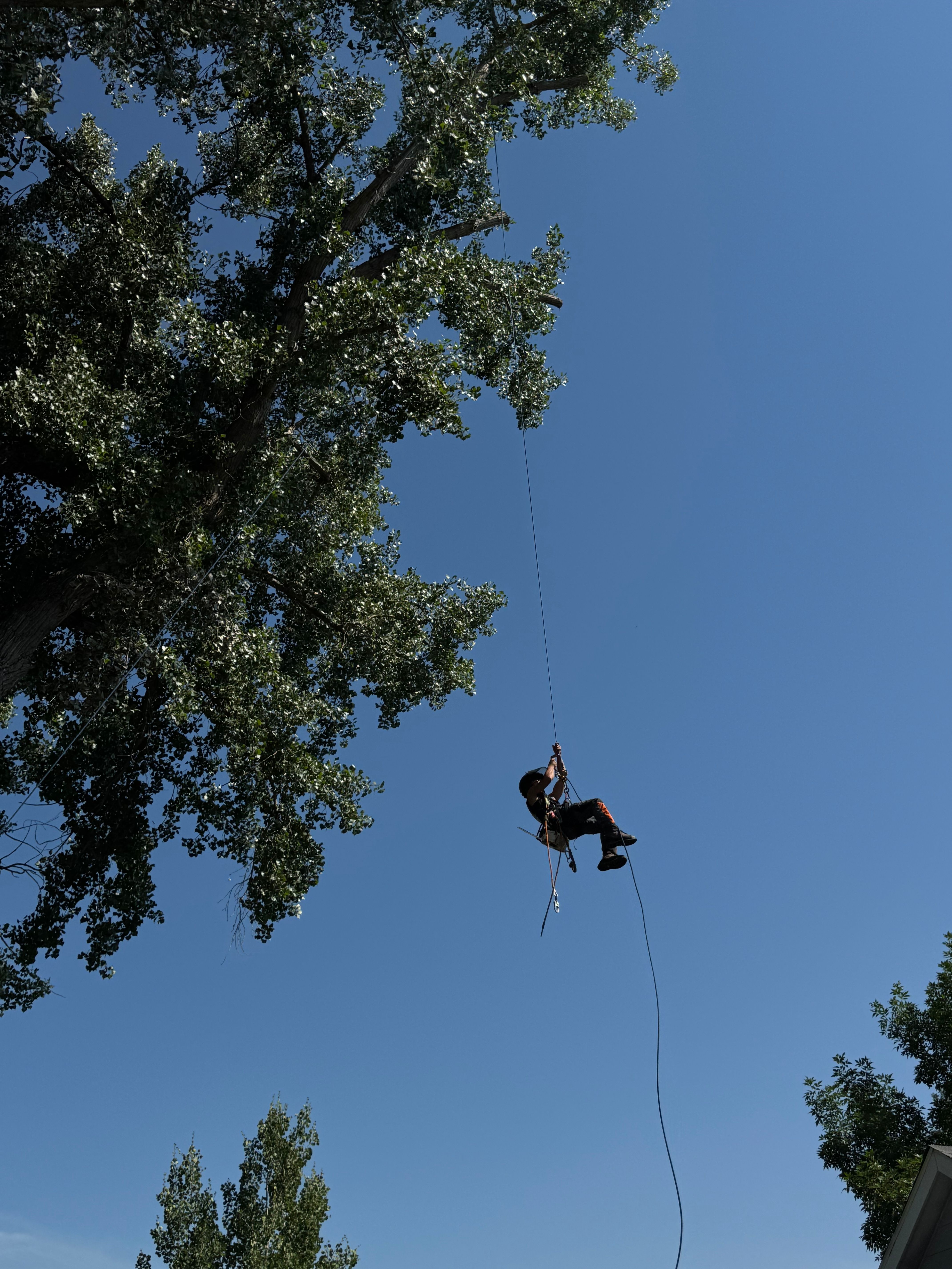  for Elevate Tree Care in Gillette, WY