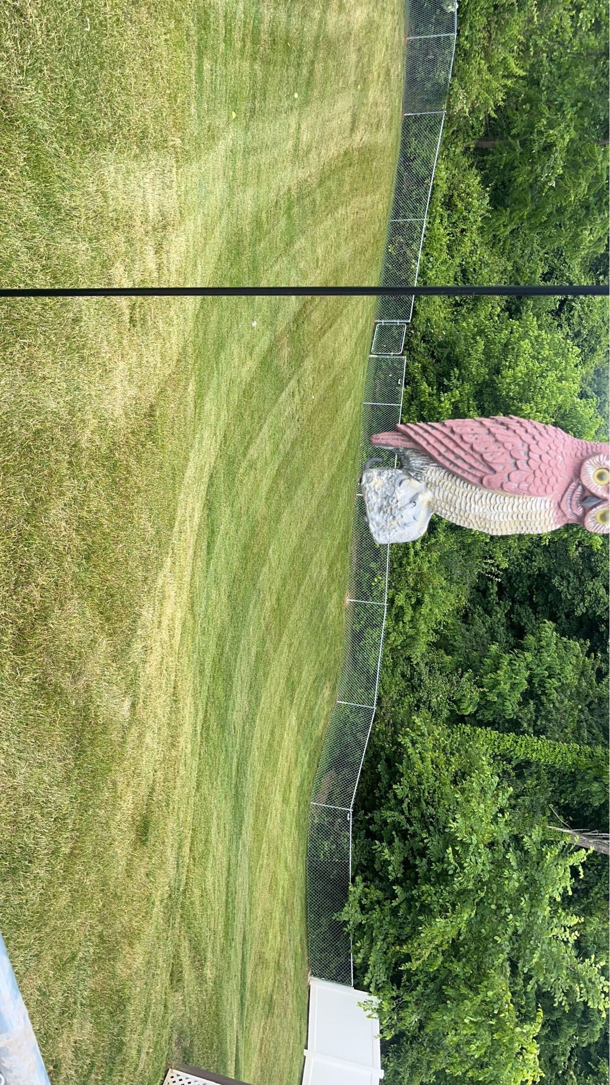  for Cam Yardz in Washington, PA