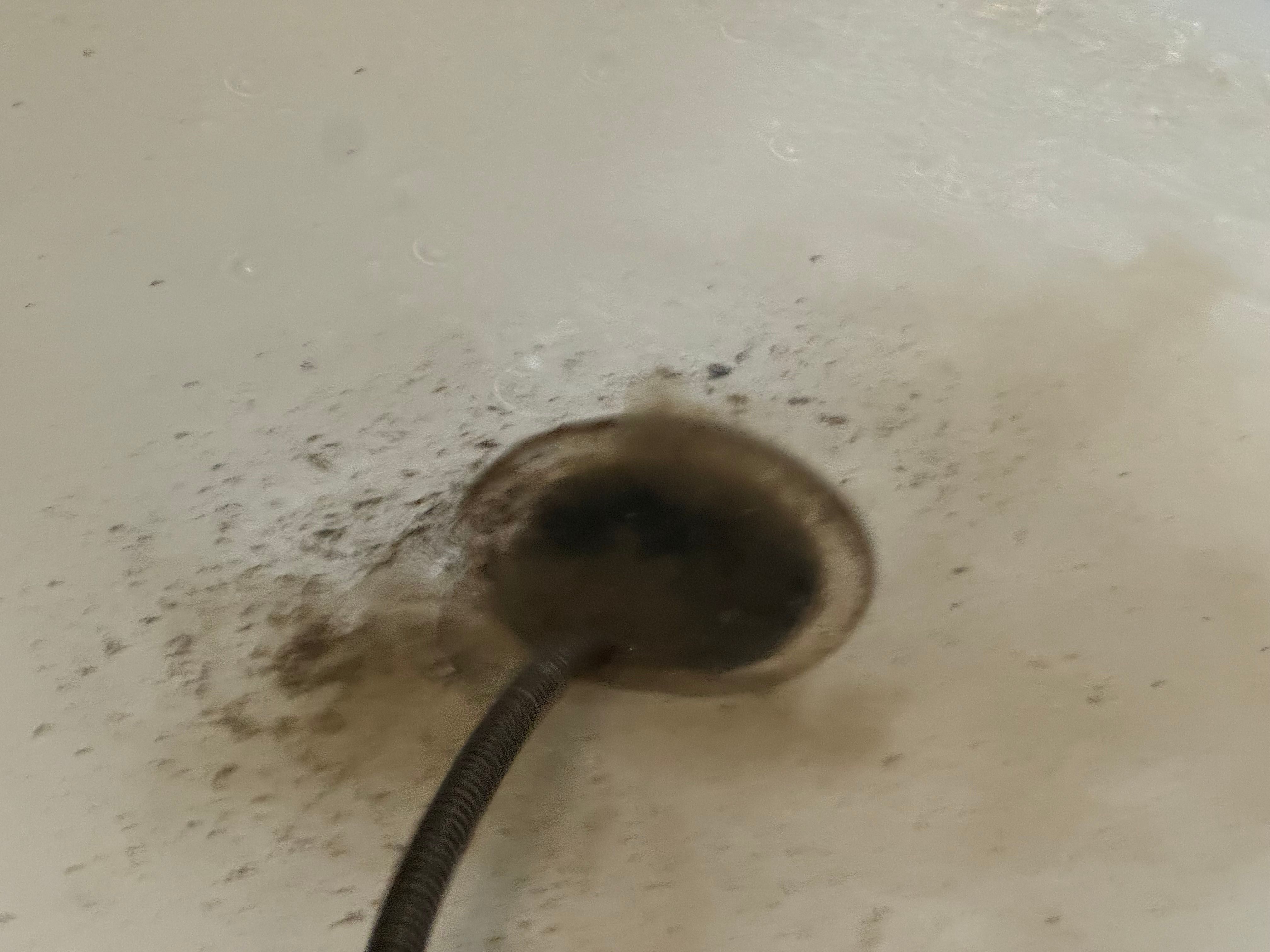  for Jersey Drain Masters in Williamstown, NJ