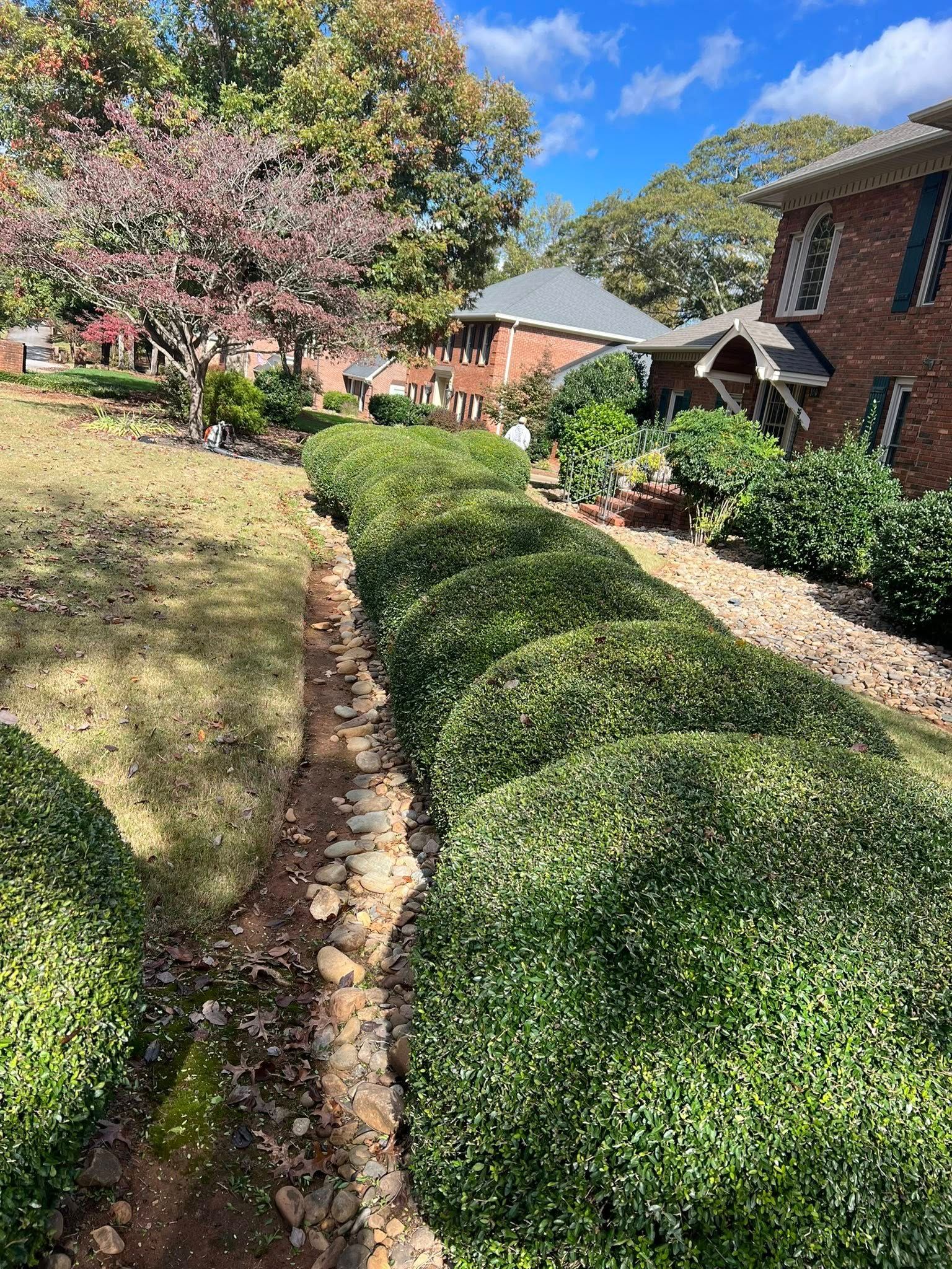 for Countryside lawn pros in Upstate, SC