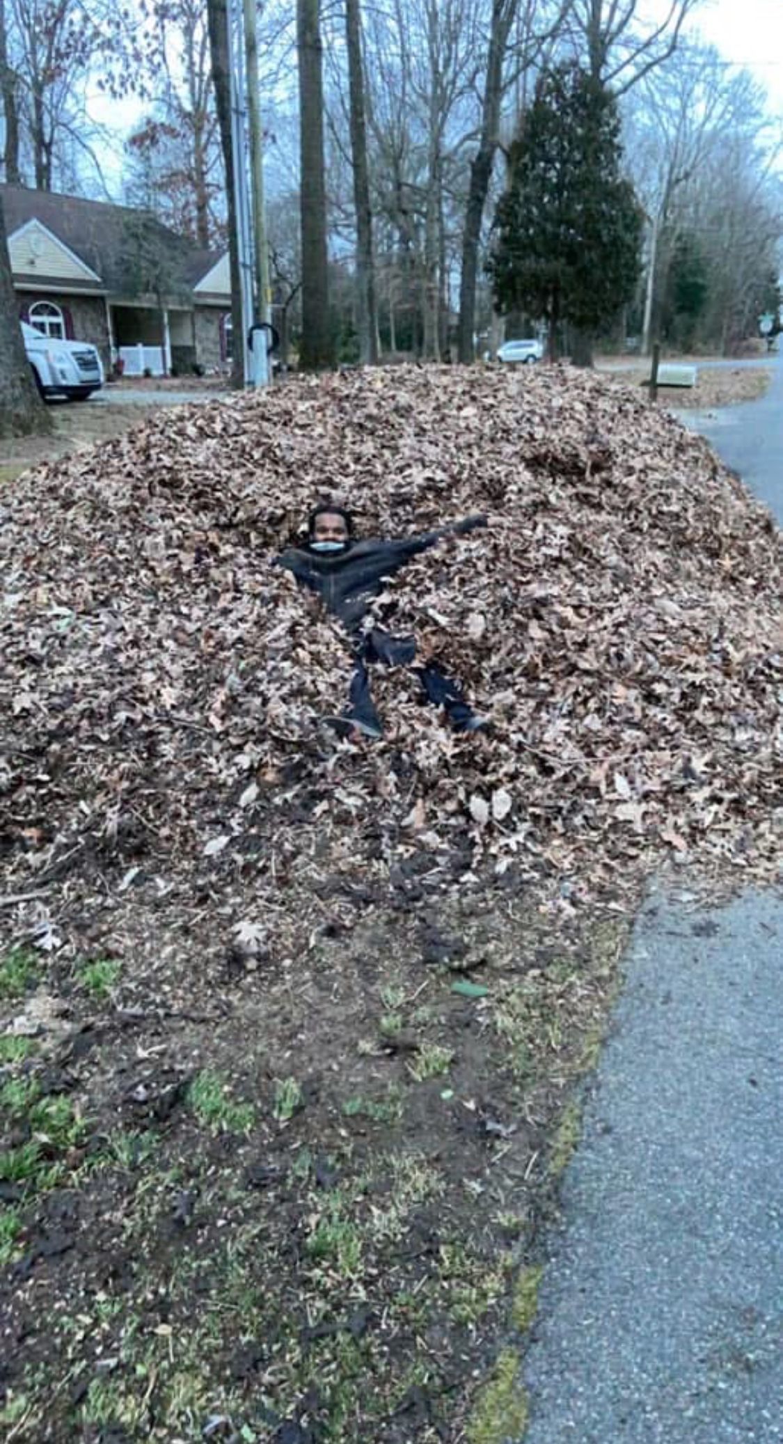  for Solid Ground Outdoor Living Solutions in Seaford, DE