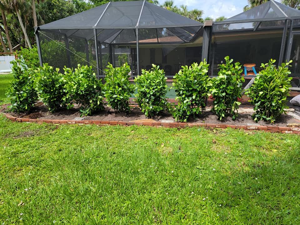 Landscaping for Advanced Landscaping Solutions LLC in Fort Myers, FL