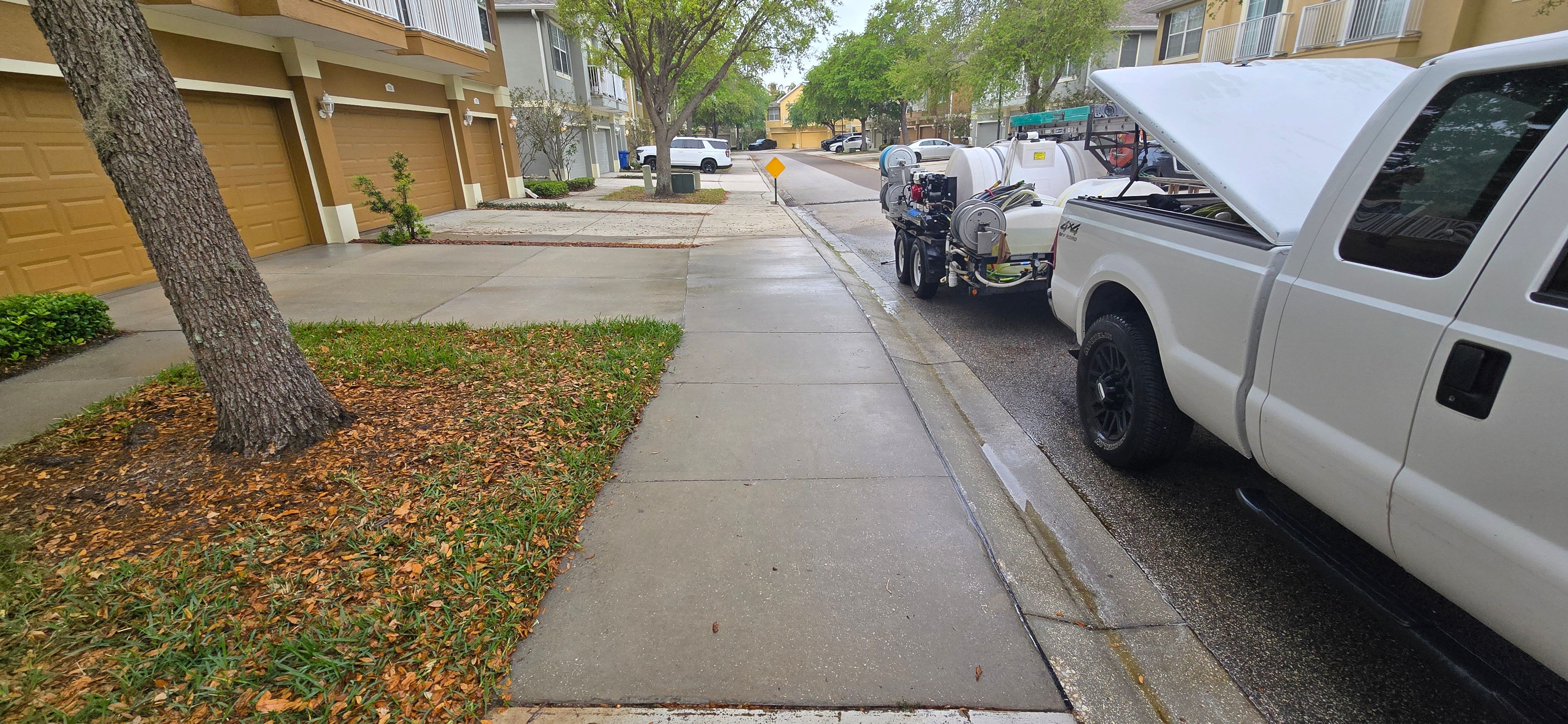  for Blue Stream Roof Cleaning & Pressure Washing in Tampa, FL