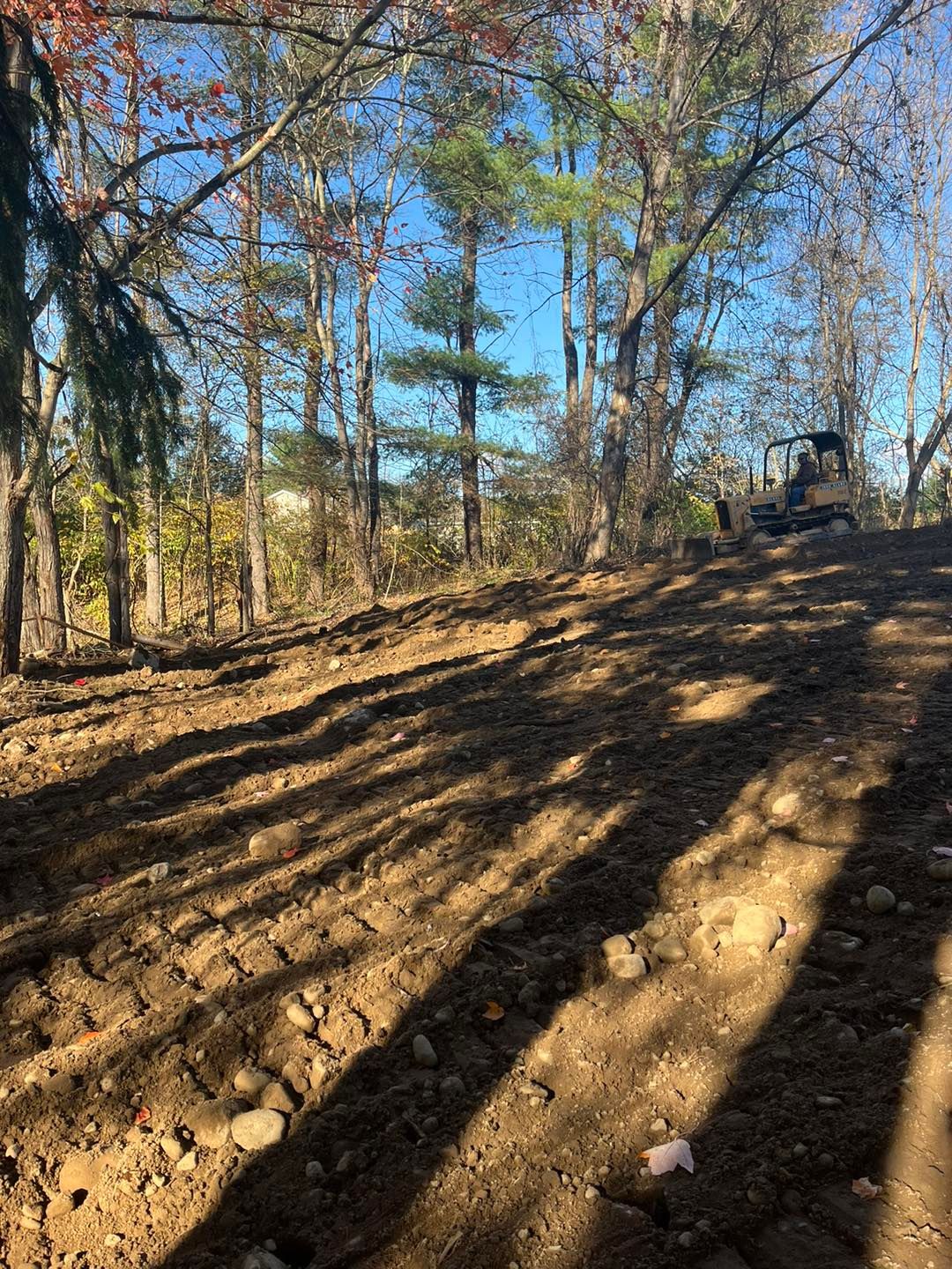  for Helfert Tree Service in Boonville, NY