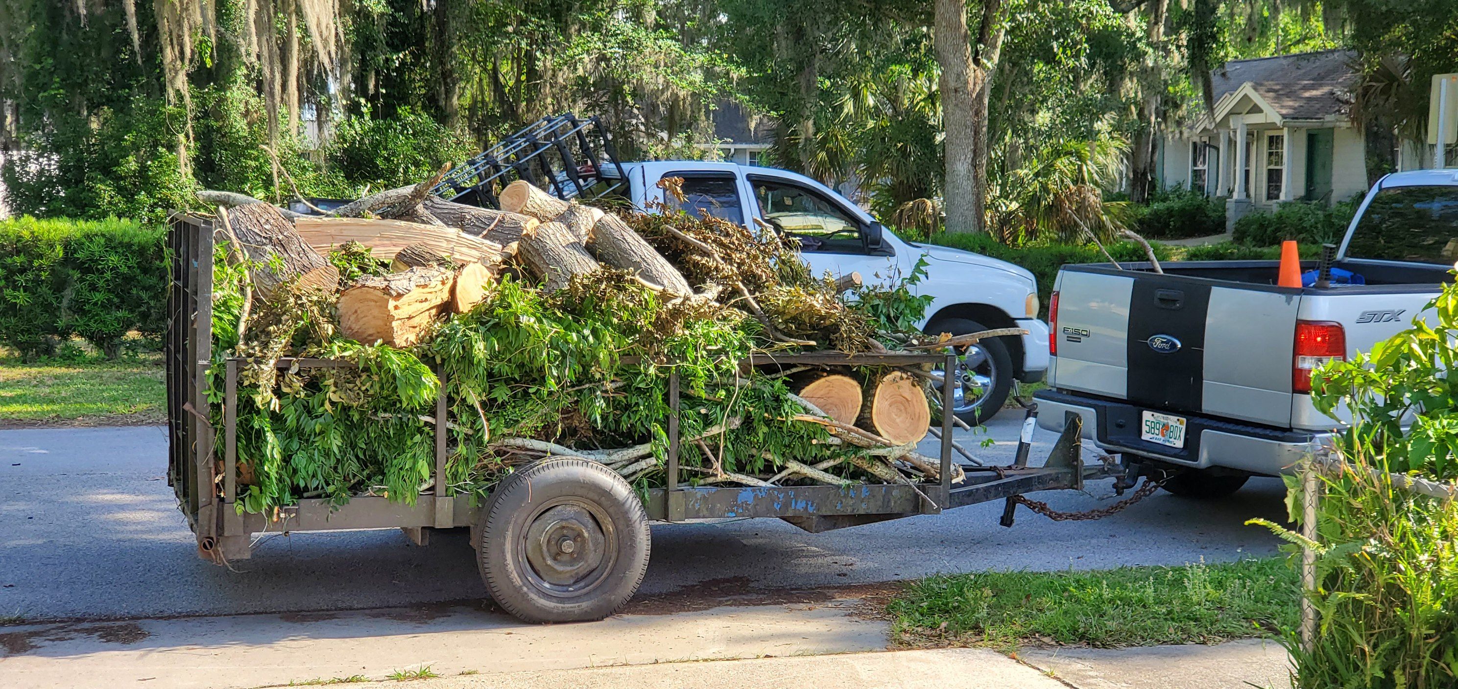 All Photos for Highlife Tree Care And Landscaping in Altamonte Springs, FL